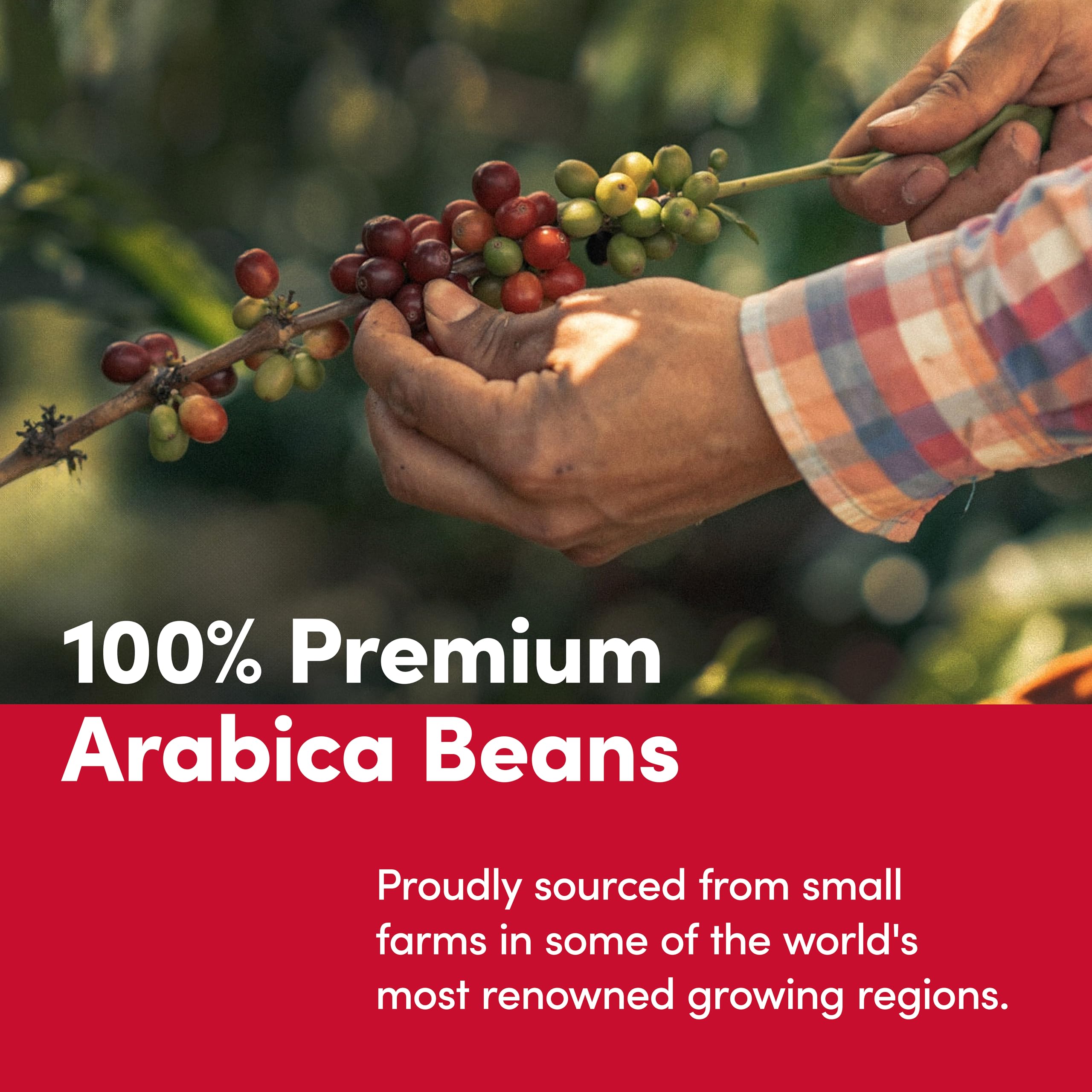 easy-to-brew-ground-coffee