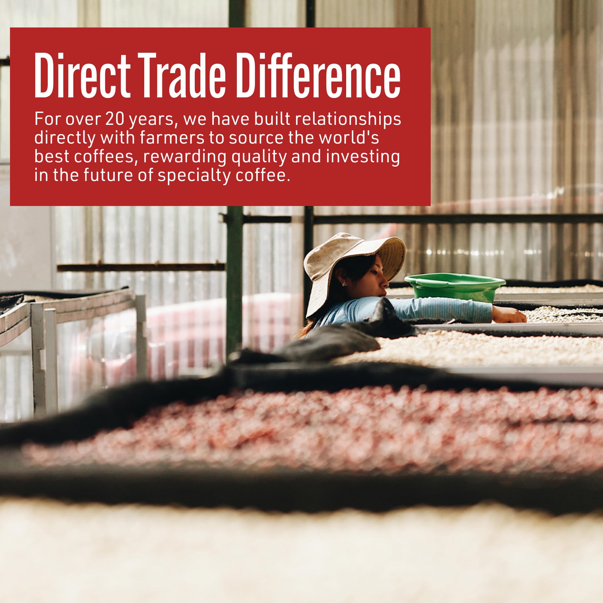 easy-to-brew-whole-beans