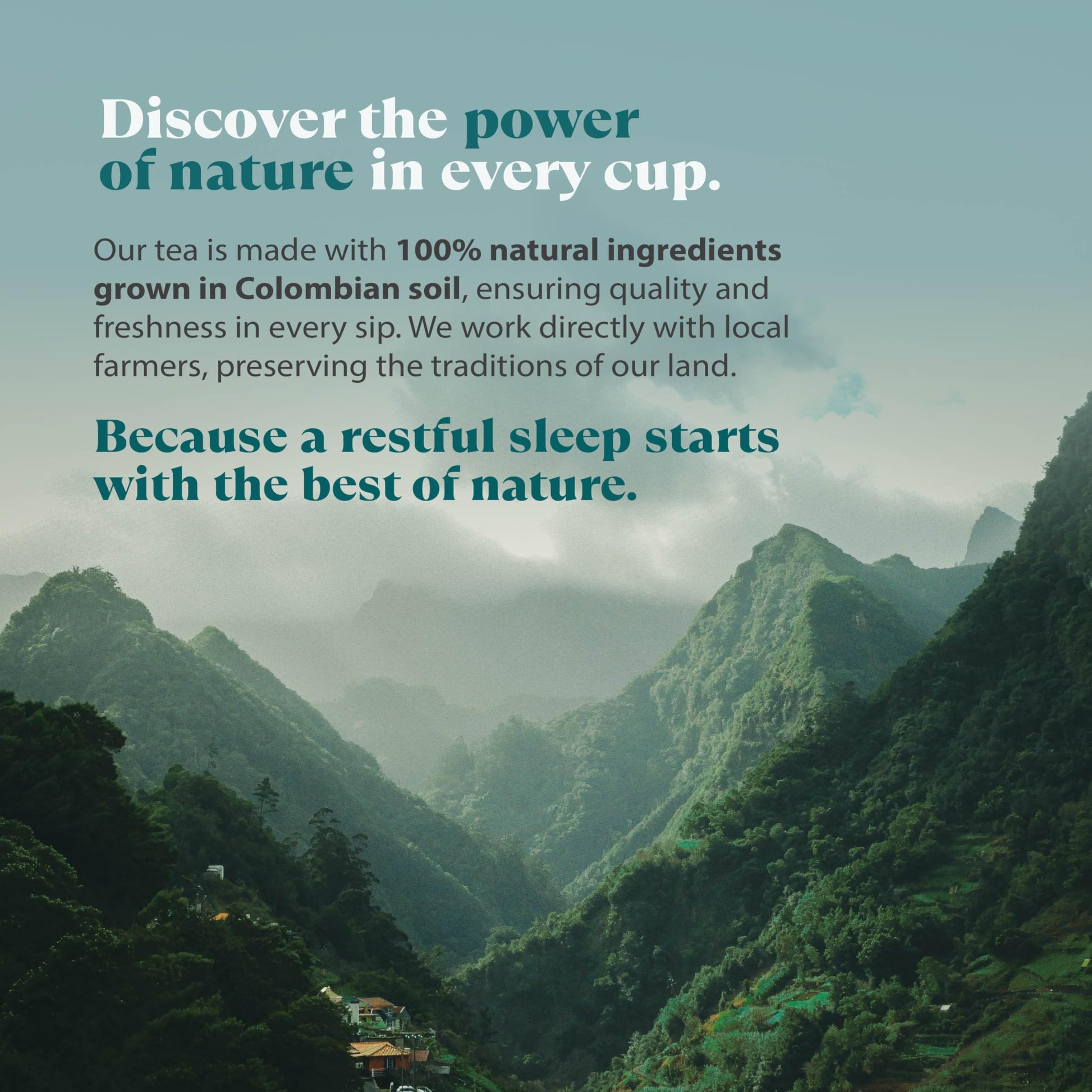 smooth-bold-flavor-ready-to-drink-coffee