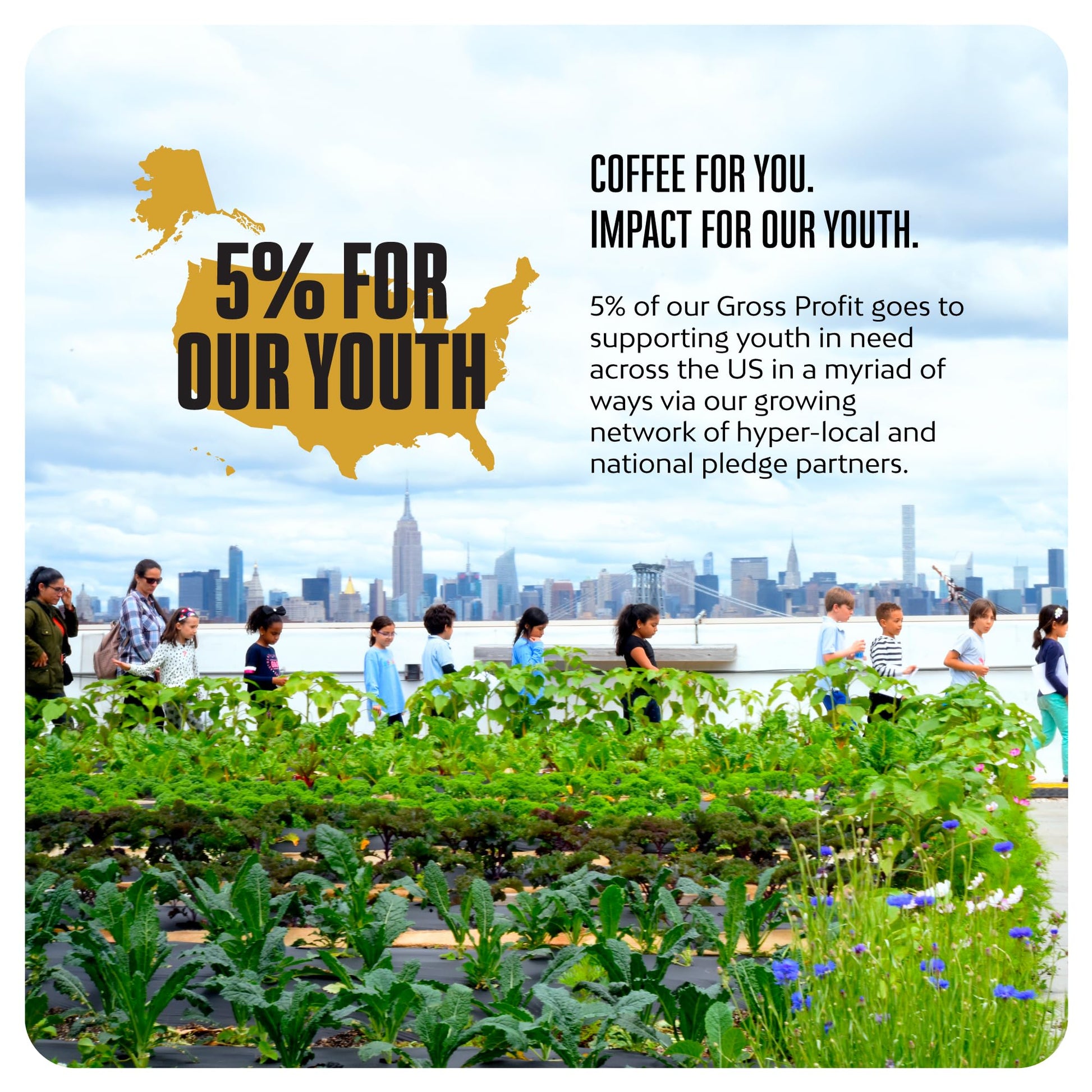 convenient-whole-beans-multi-serve