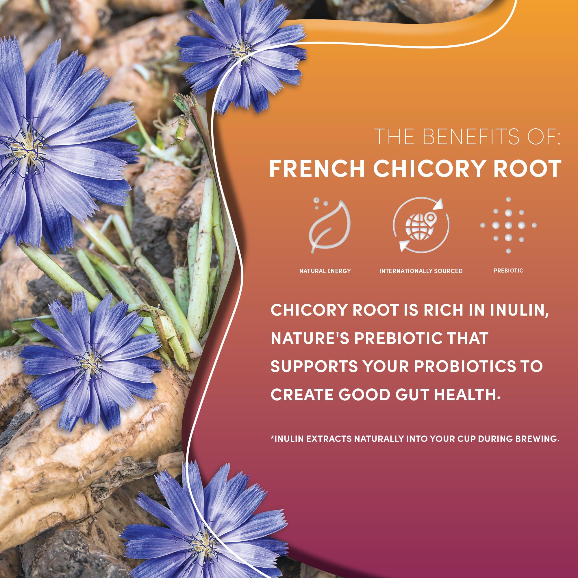 rich-full-bodied-decaf-coffee