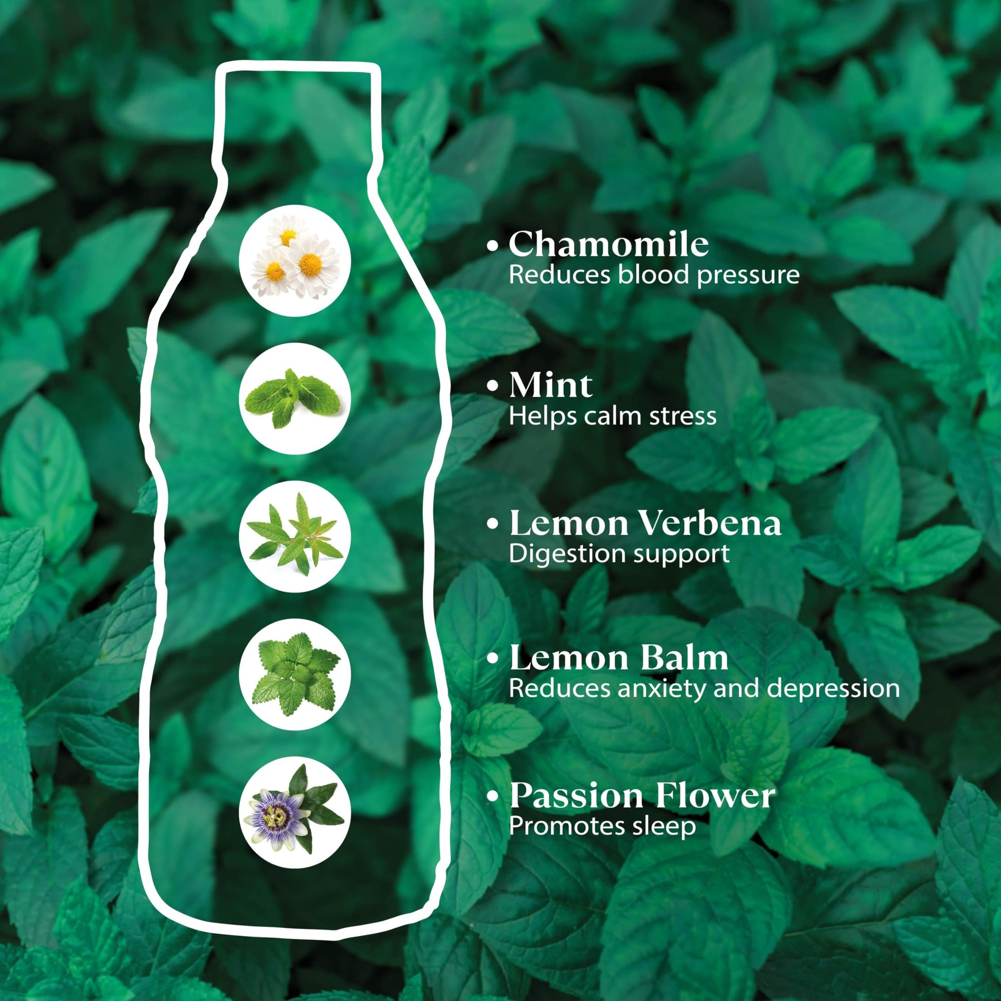 convenient-ready-to-drink-coffee-multi-serve