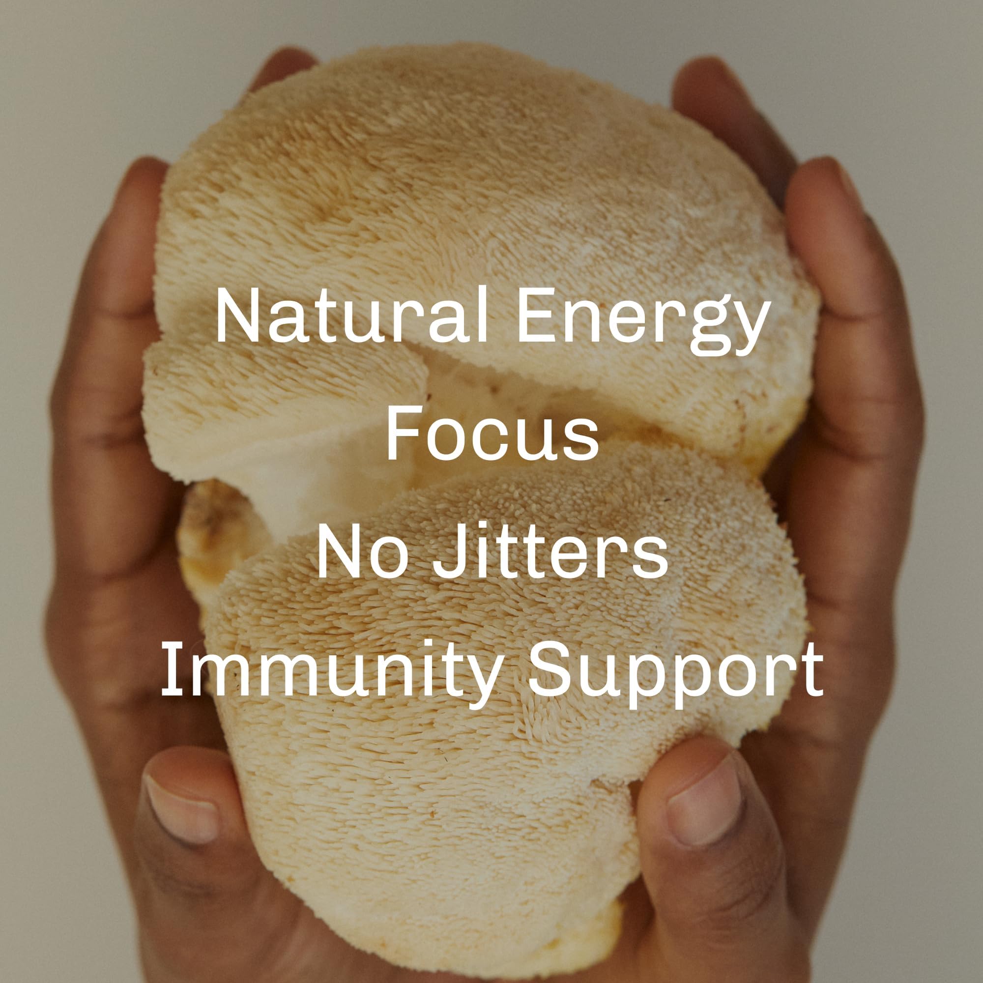 top-rated-mushroom-coffee-mud-wtr