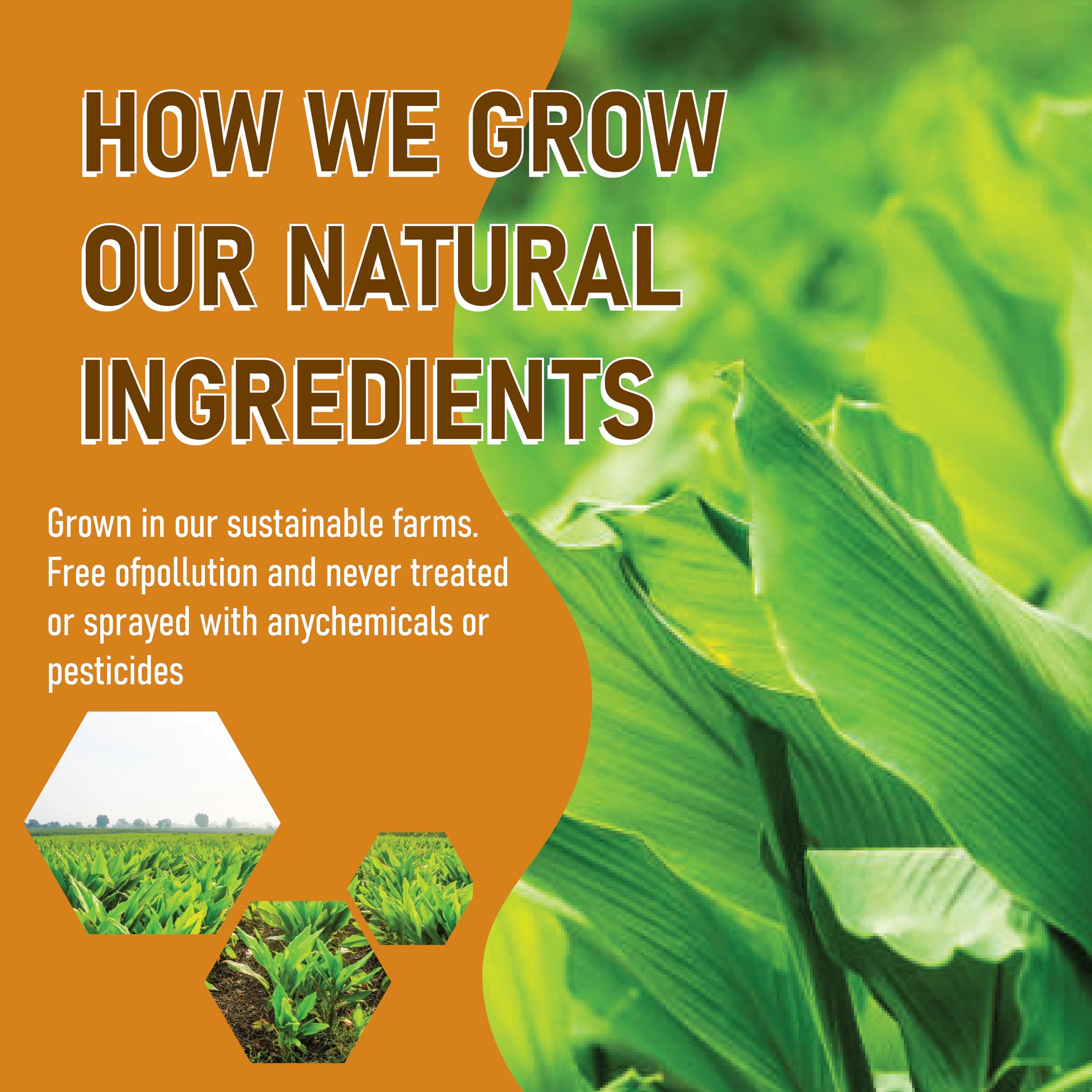 convenient-instant-tea-multi-serve