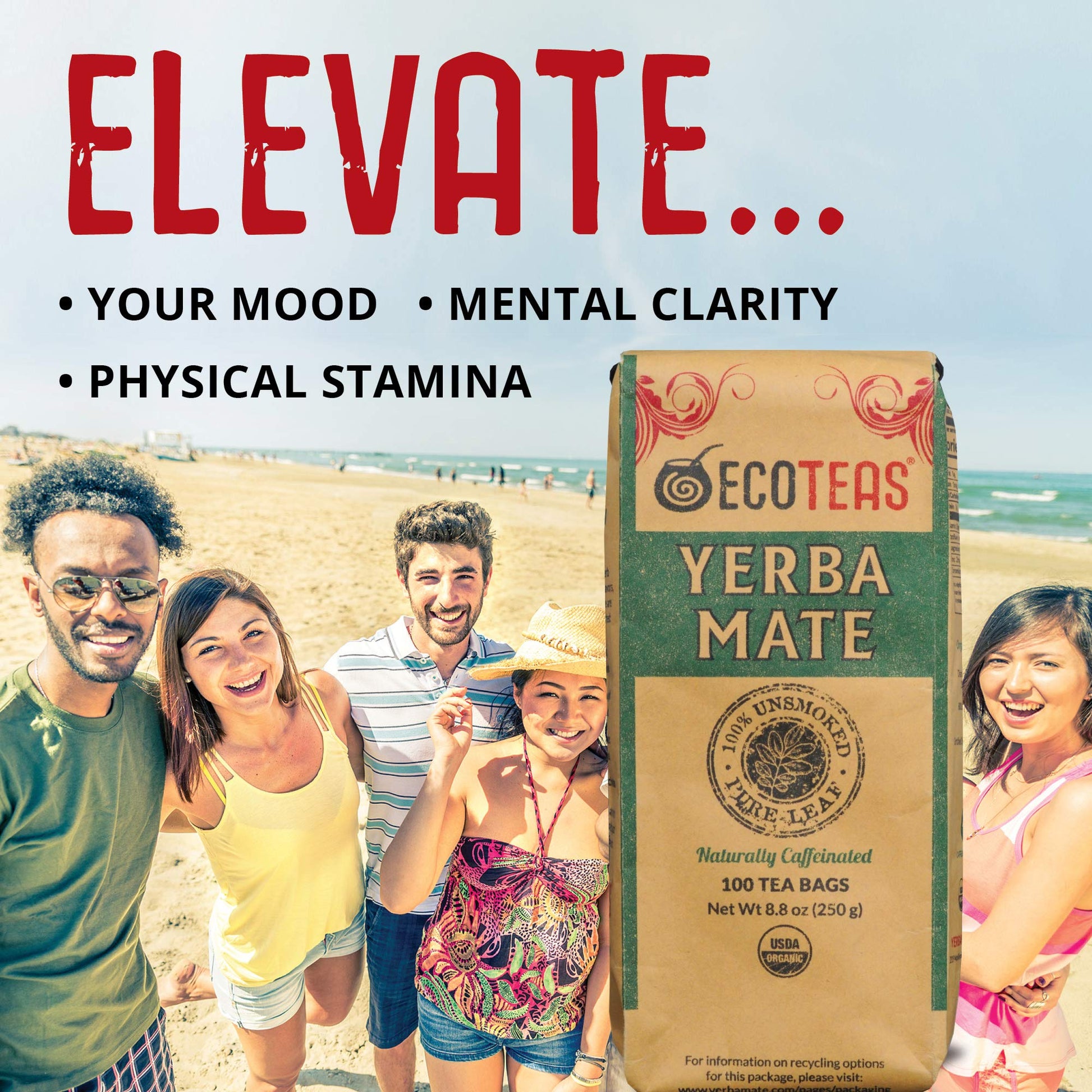 top-rated-yerba-mate-ecoteas