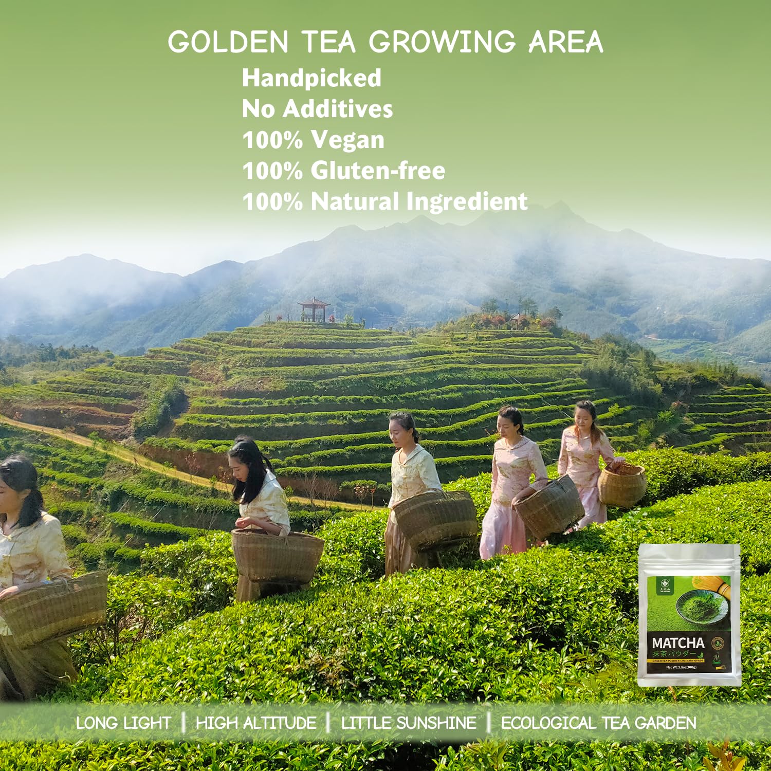 premium-matcha-powder-tian-hu-shan