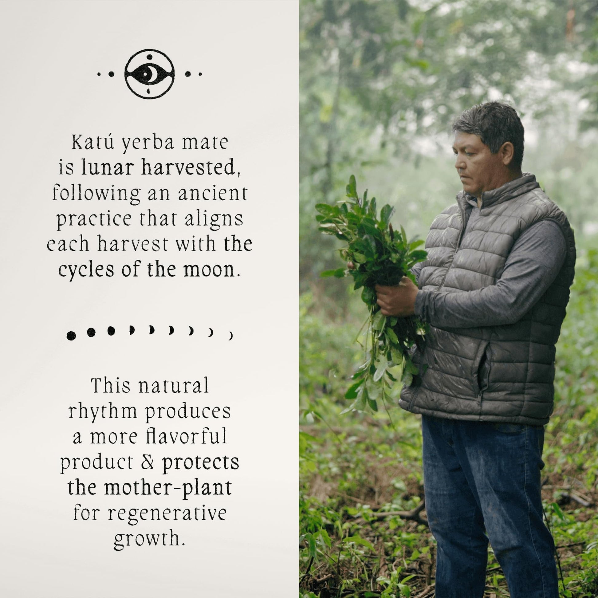 top-rated-cold-brew-coffee-kat