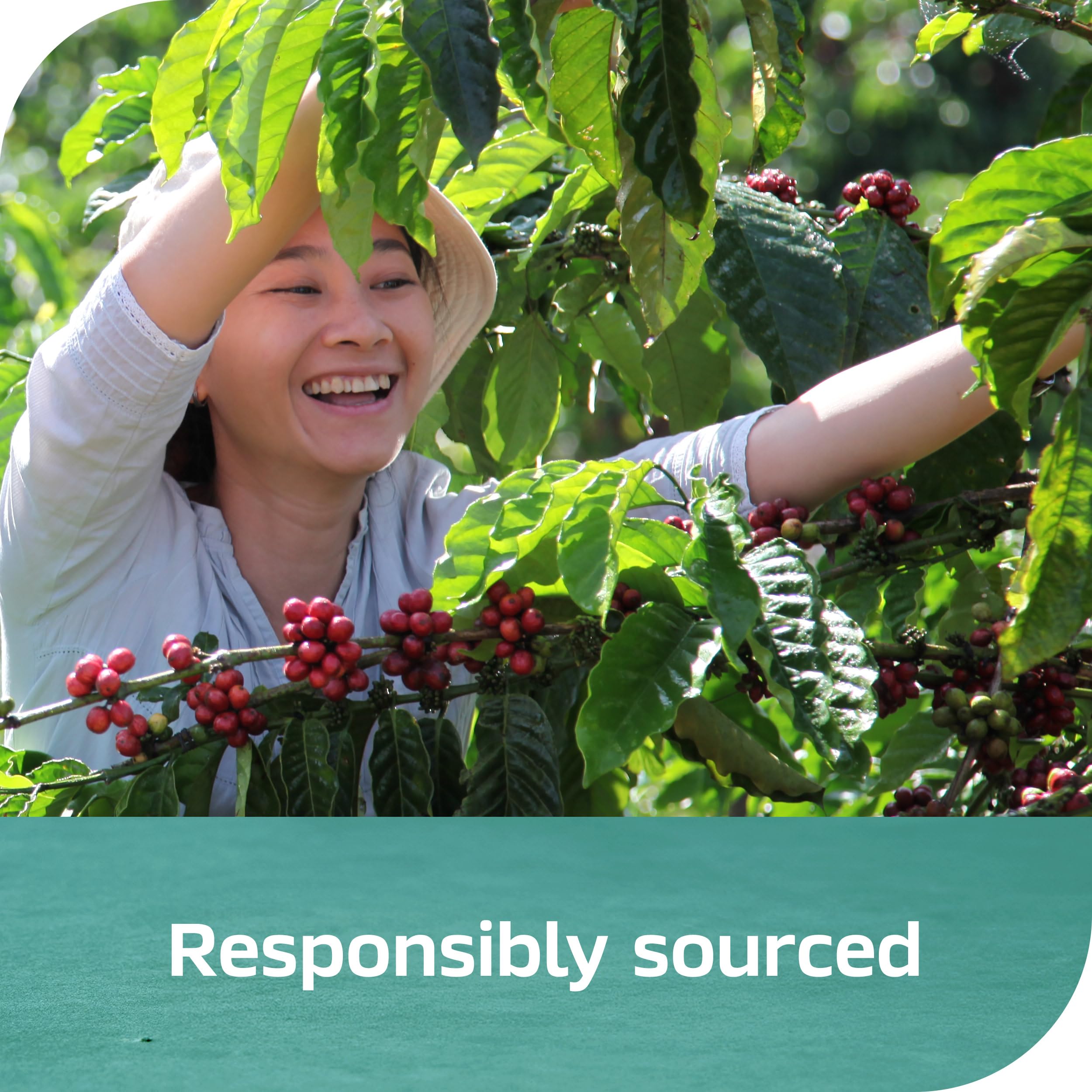 smooth-bold-flavor-instant-coffee