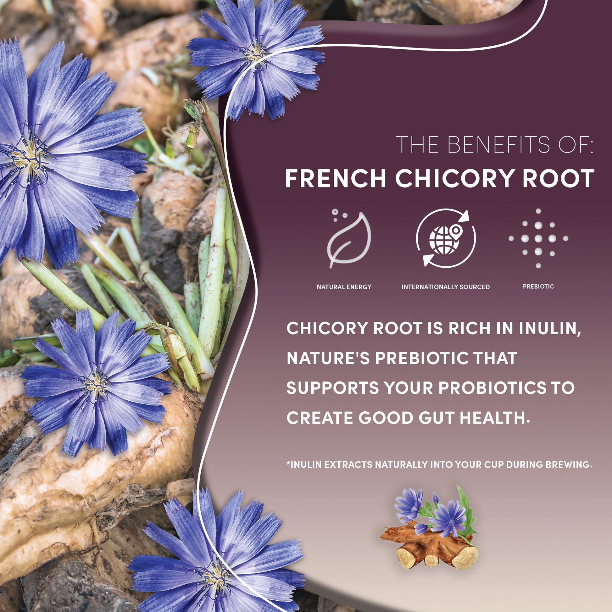 top-rated-decaf-coffee-teeccino