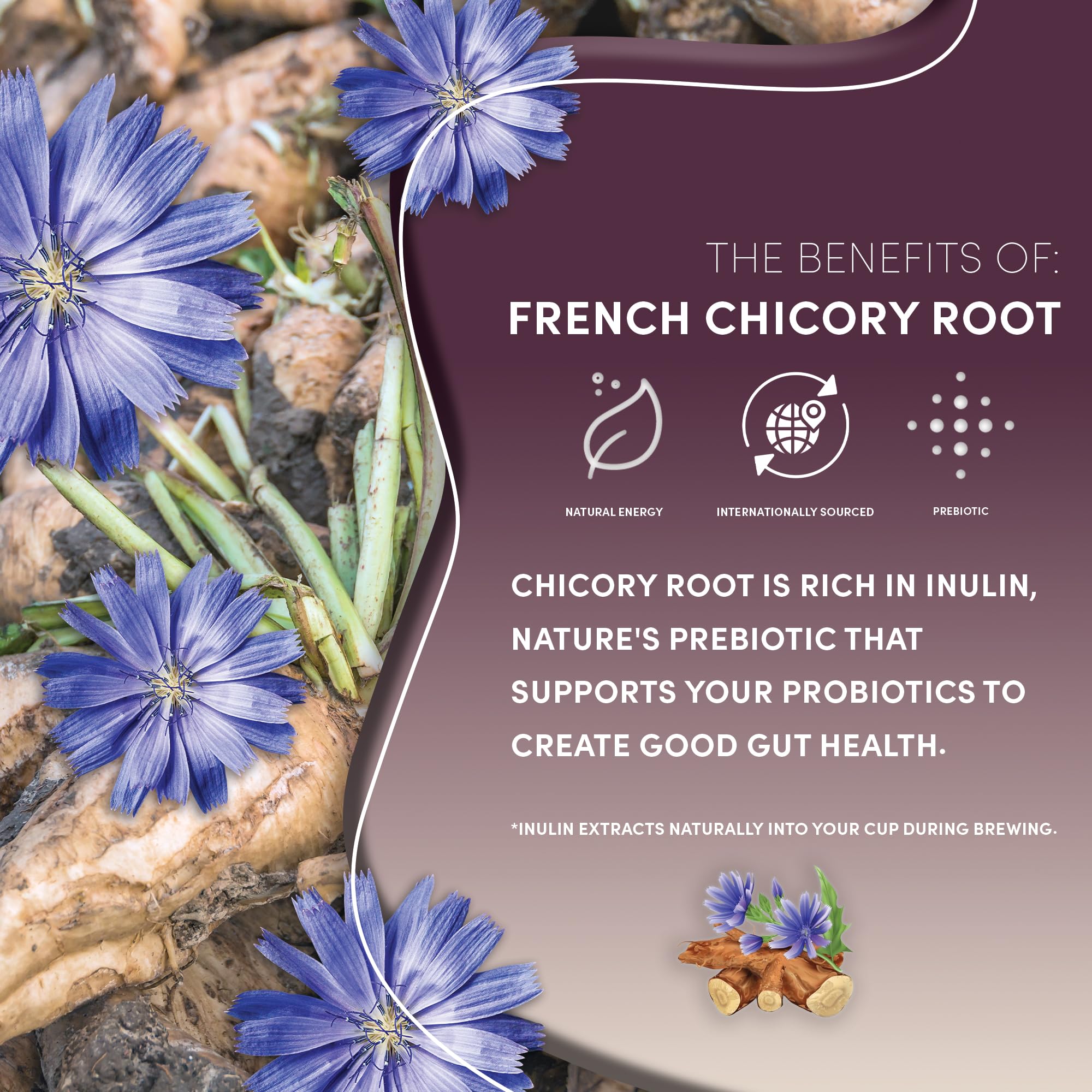 top-rated-decaf-coffee-teeccino