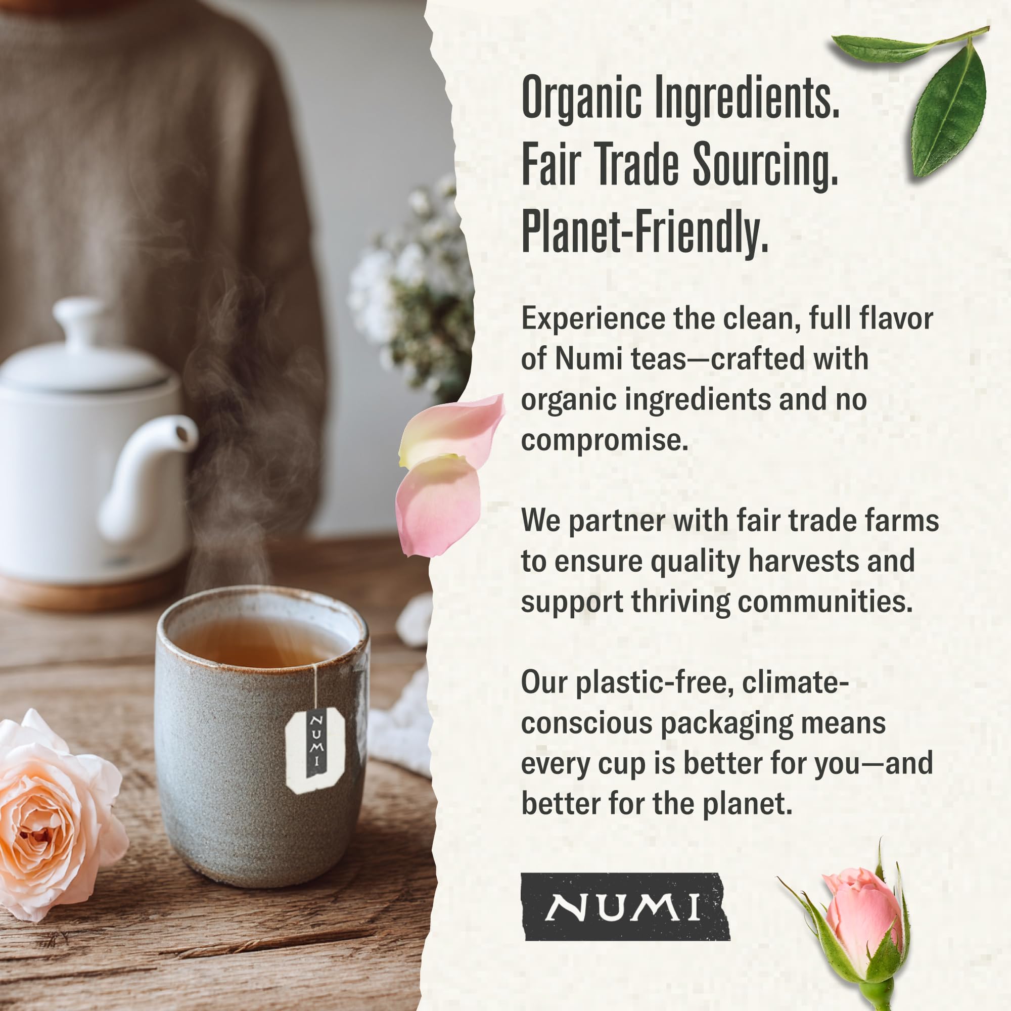 top-rated-rooibos-tea-numi