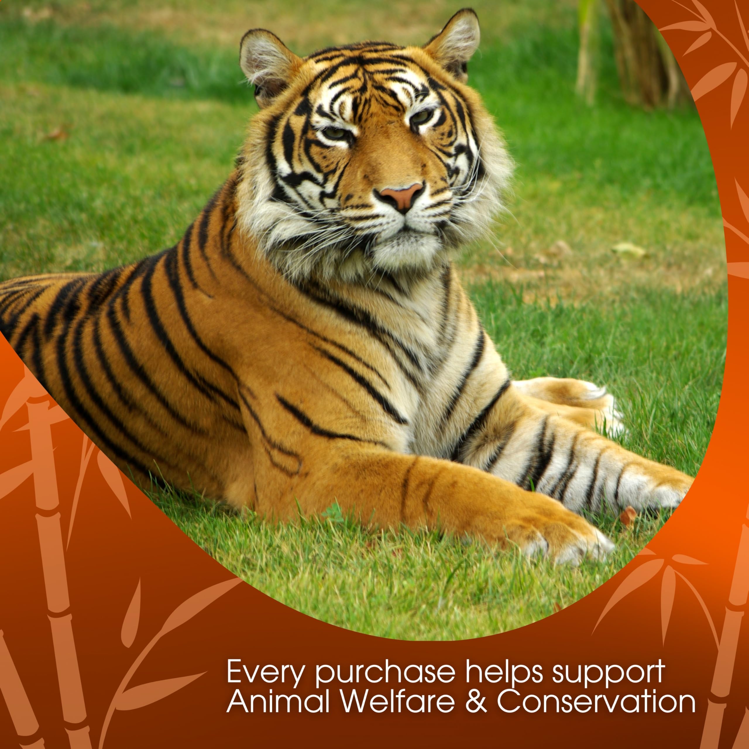 top-rated-latte-mix-david-rio