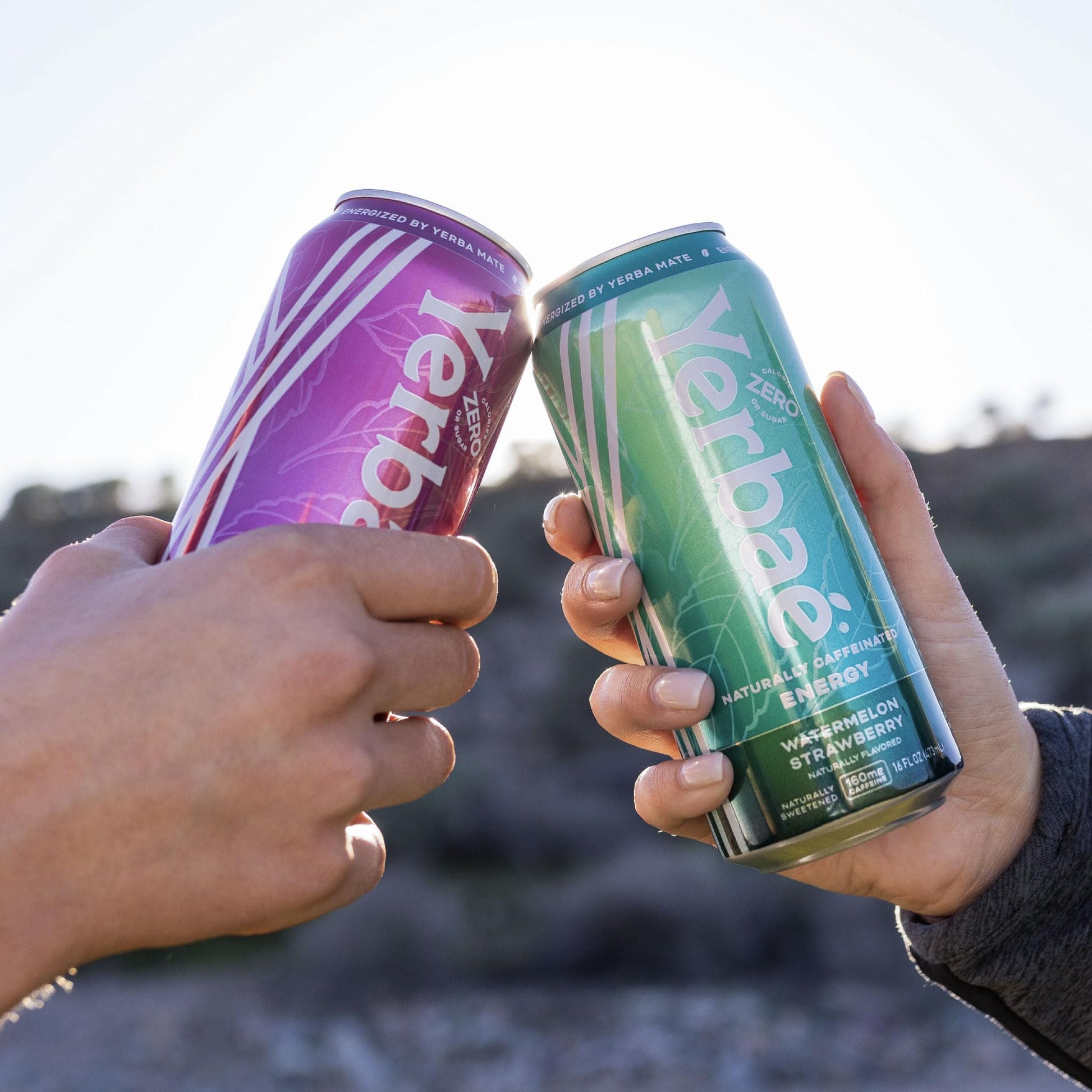 top-rated-yerba-mate-yerba