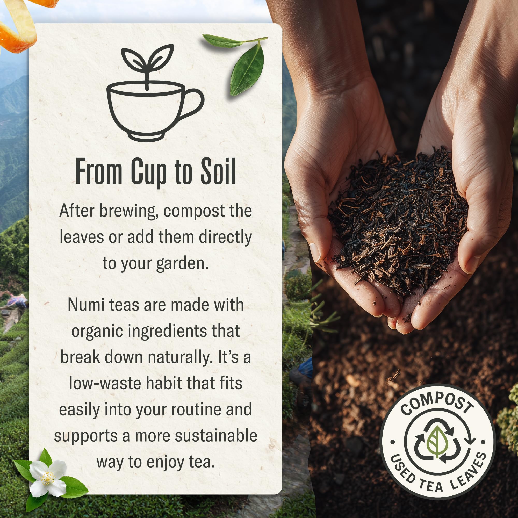 smooth-bold-flavor-matcha-powder