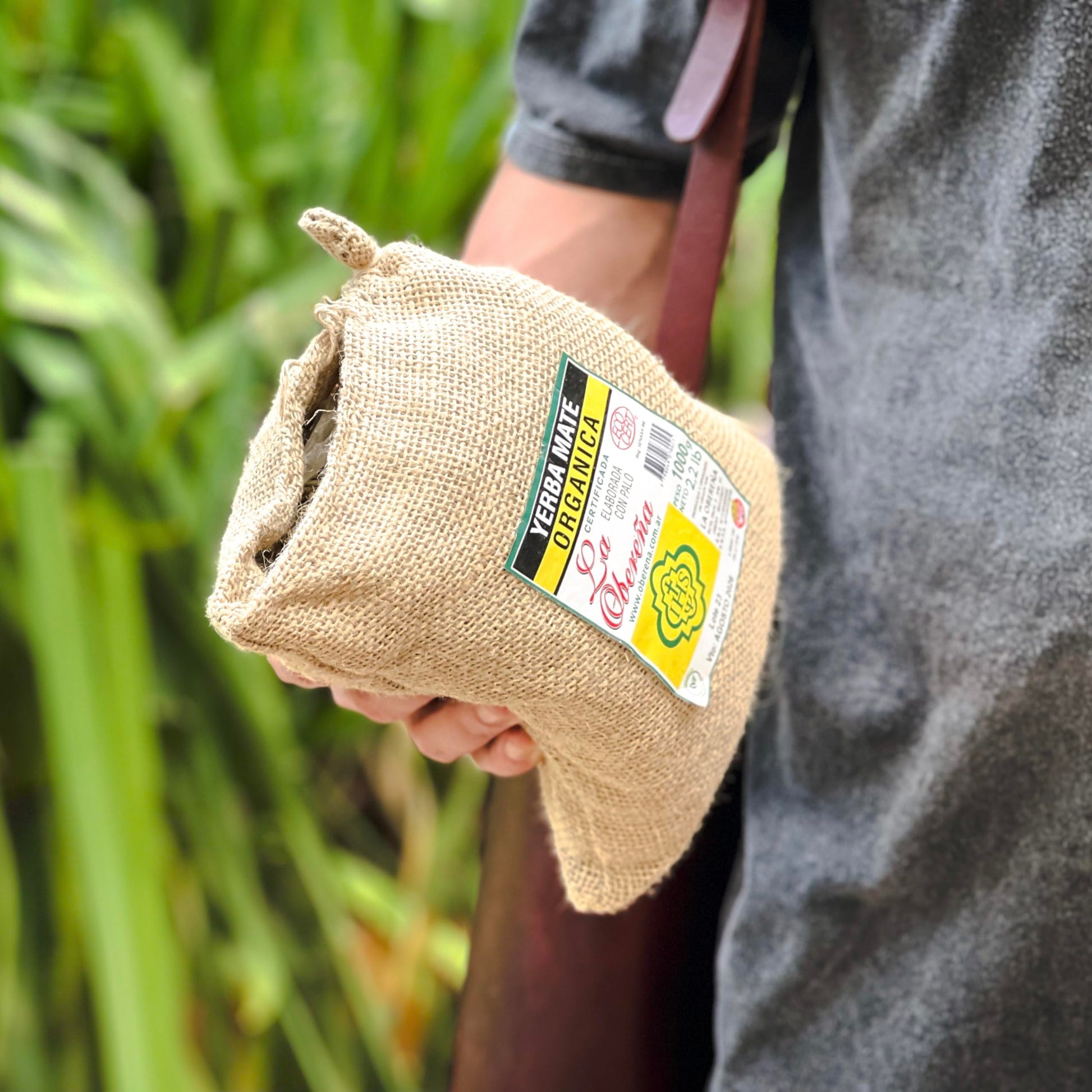 rich-full-bodied-yerba-mate