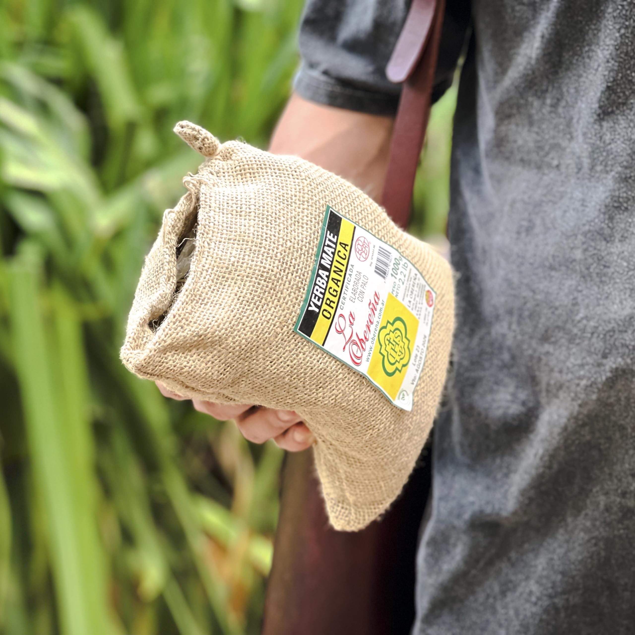 rich-full-bodied-yerba-mate