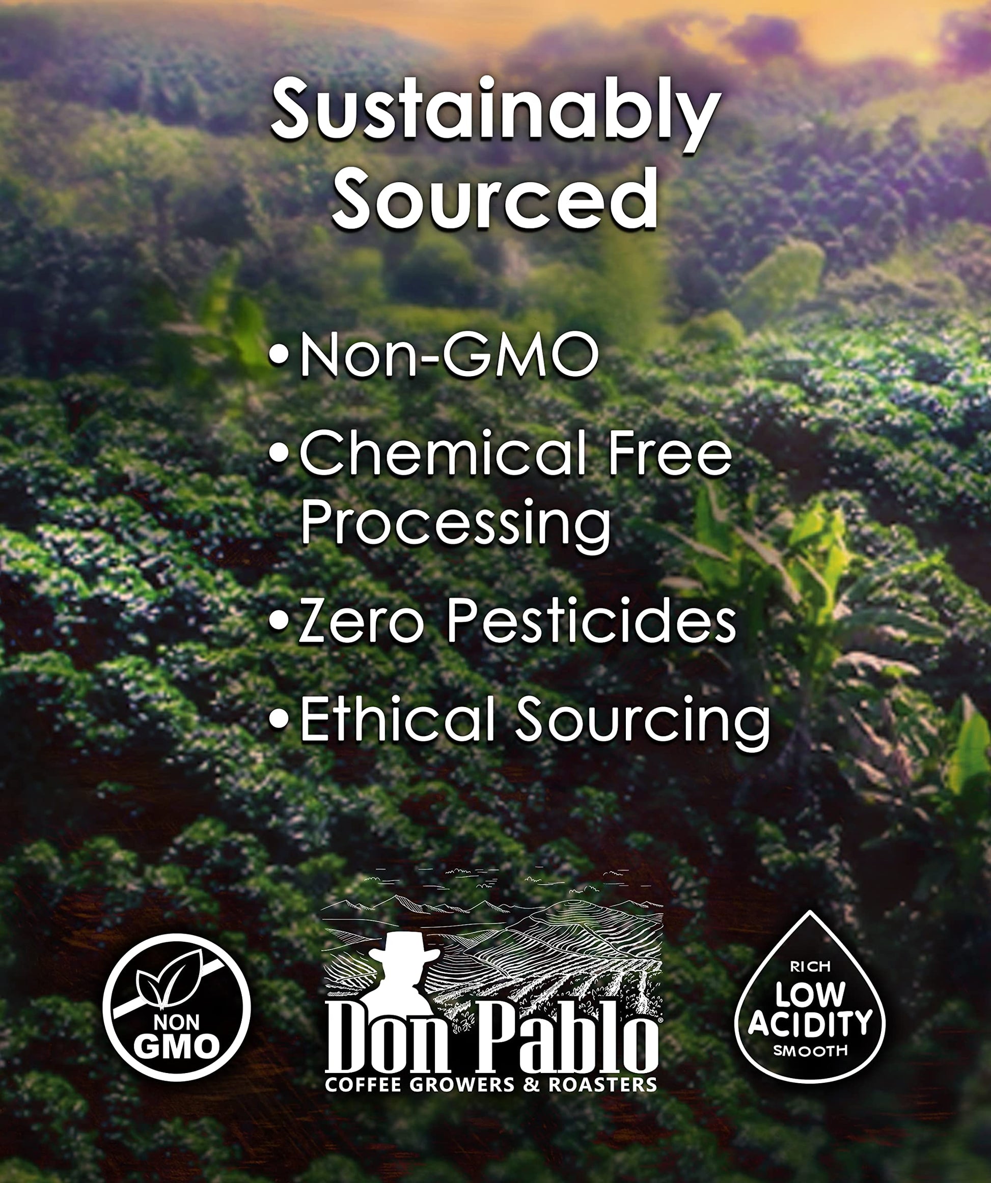 convenient-whole-beans-multi-serve