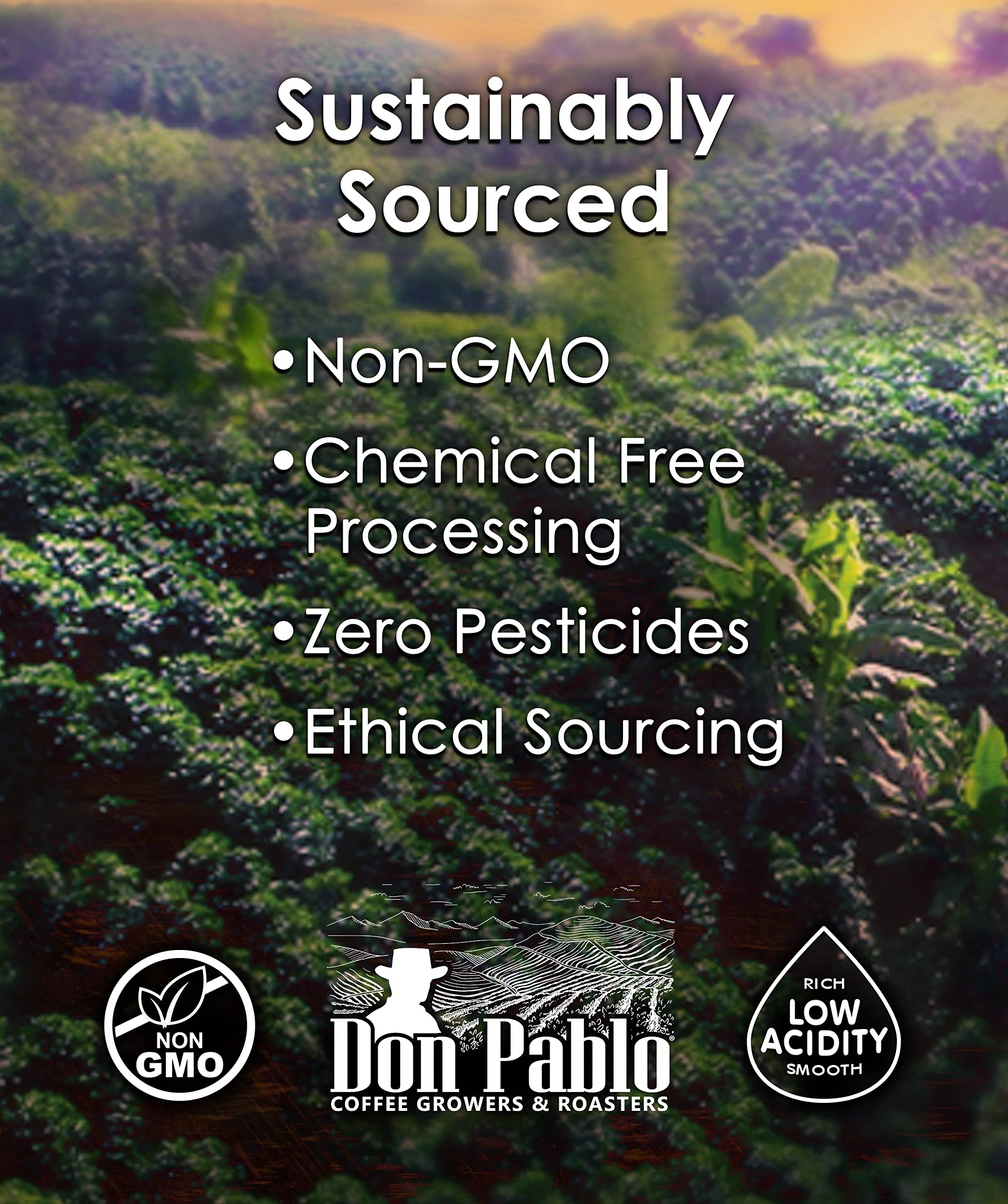 convenient-whole-beans-multi-serve