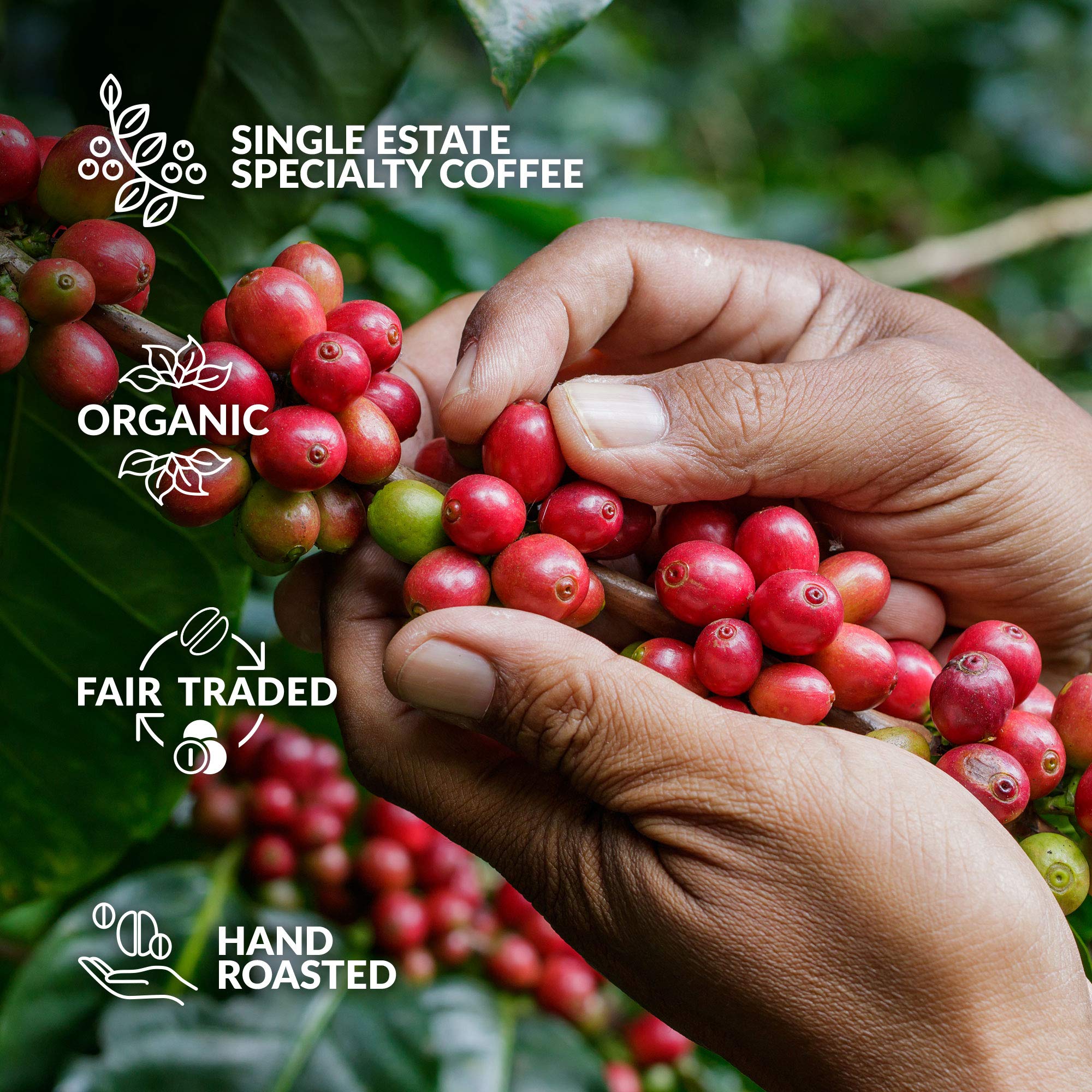 smooth-bold-flavor-instant-coffee