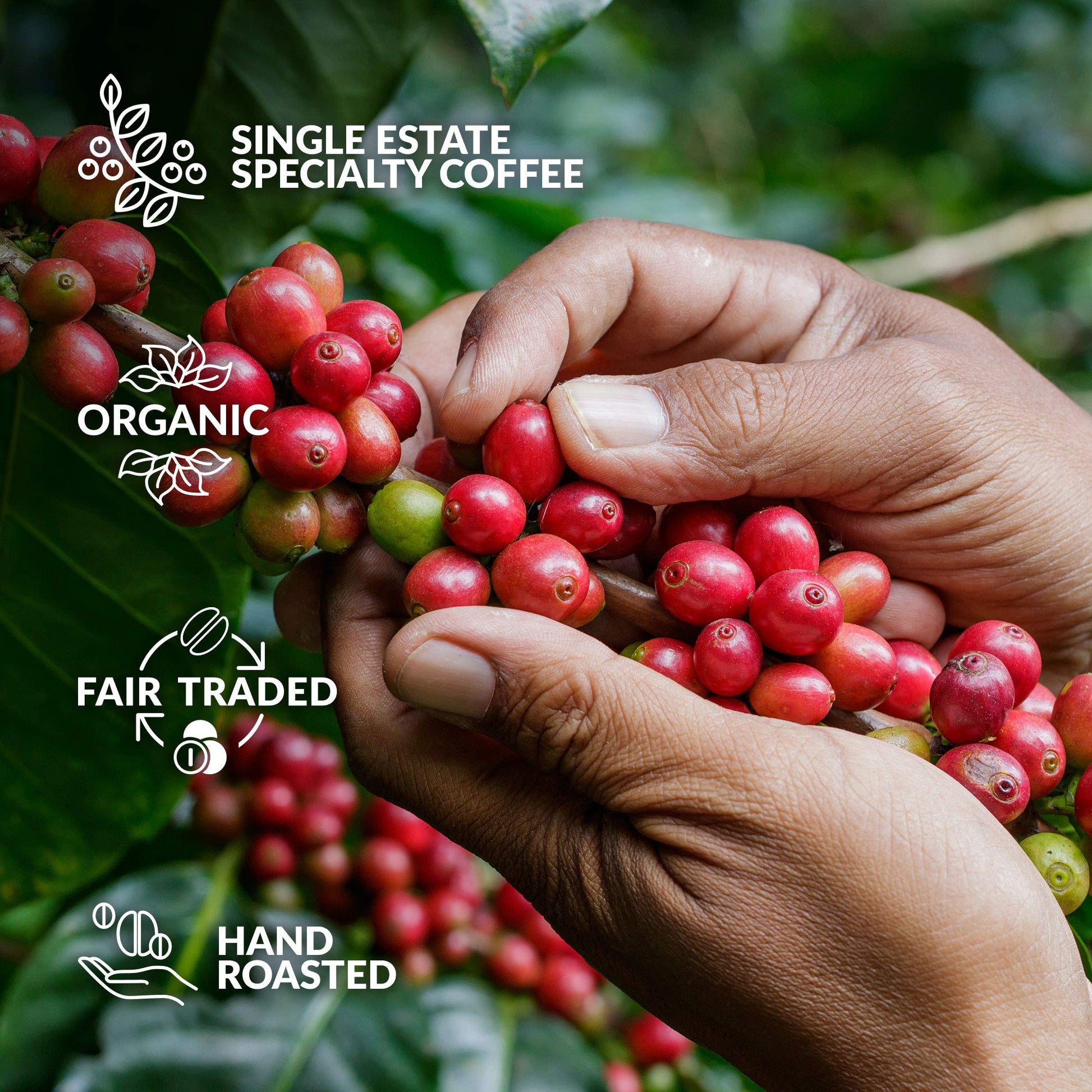 smooth-bold-flavor-instant-coffee