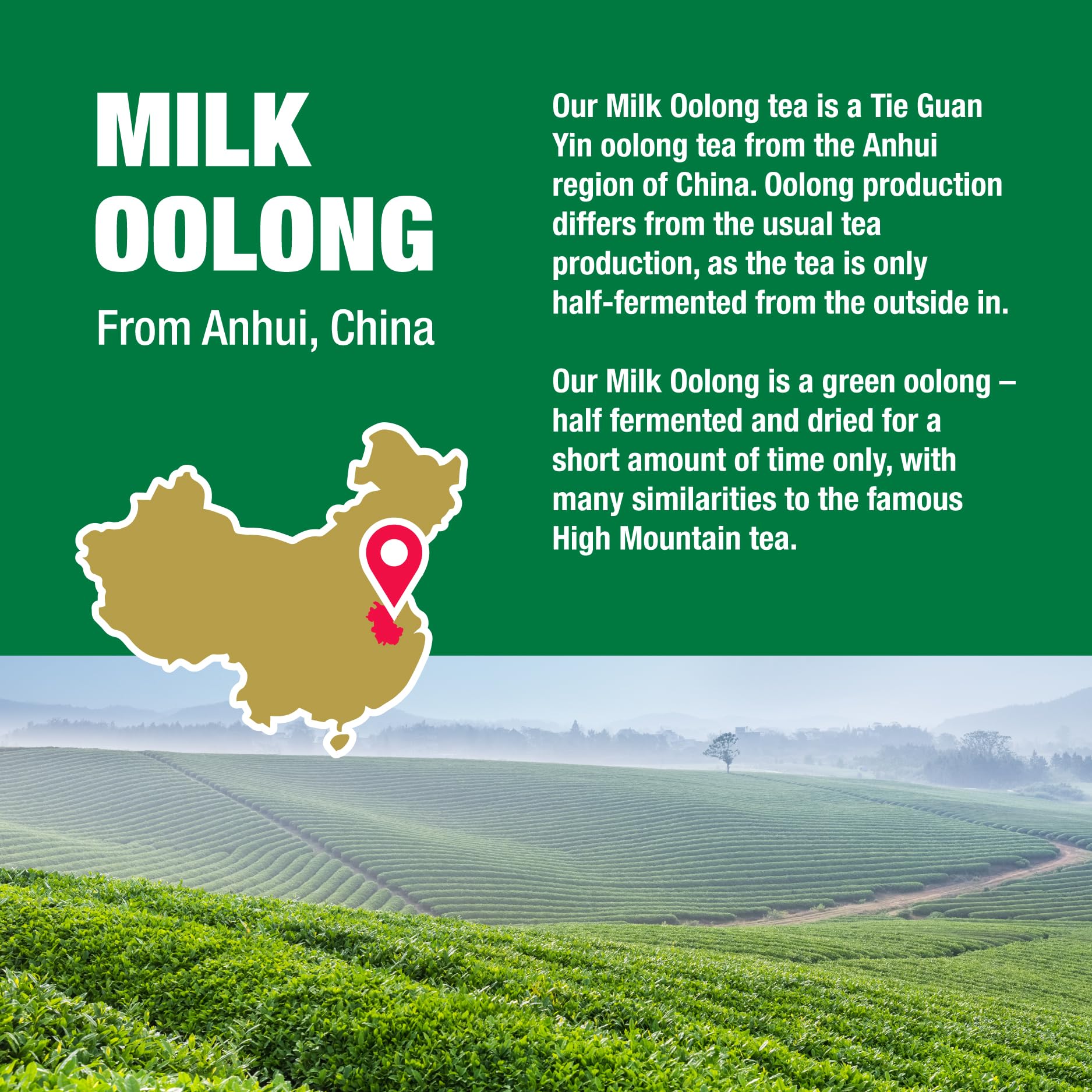 rich-full-bodied-green-tea