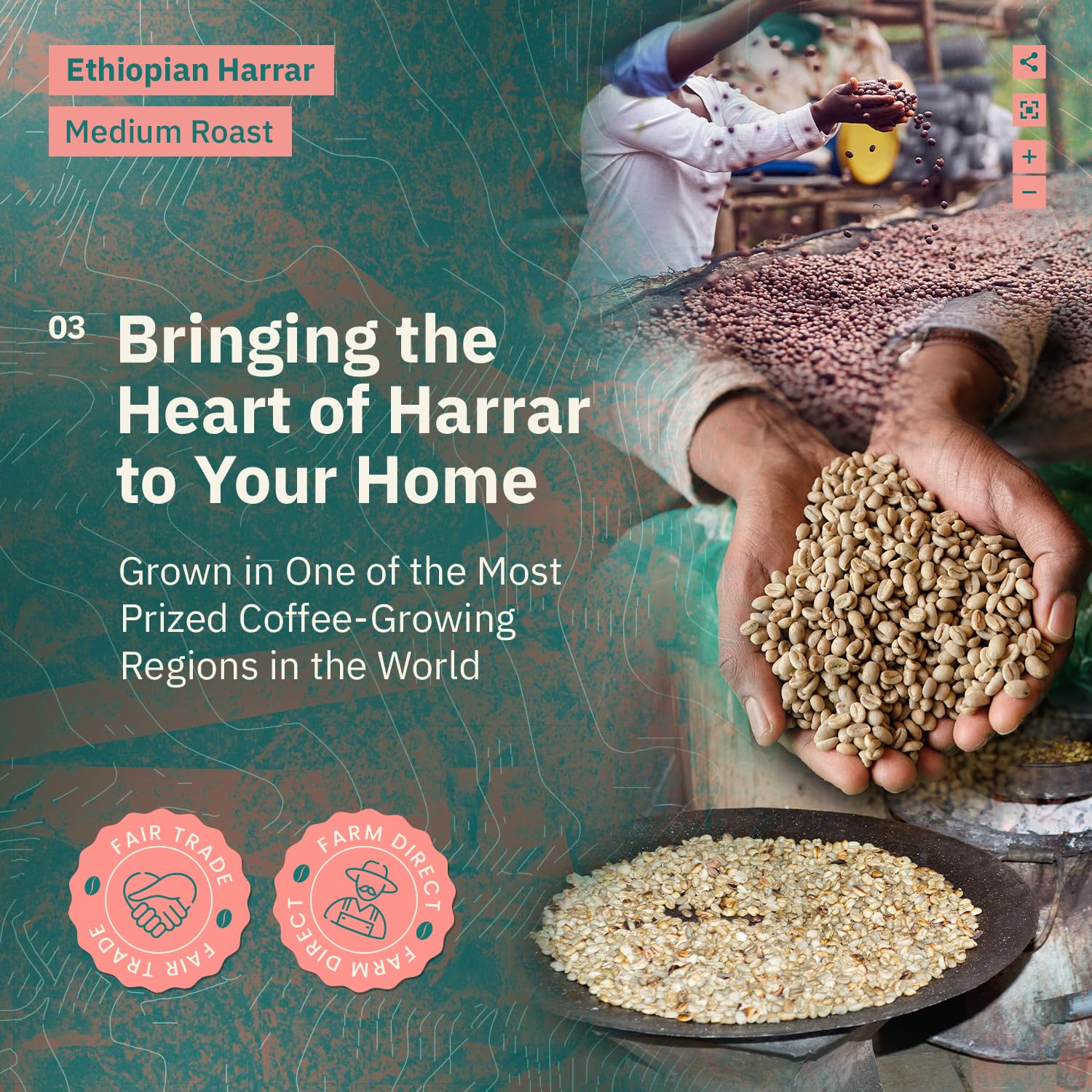 convenient-whole-beans-multi-serve