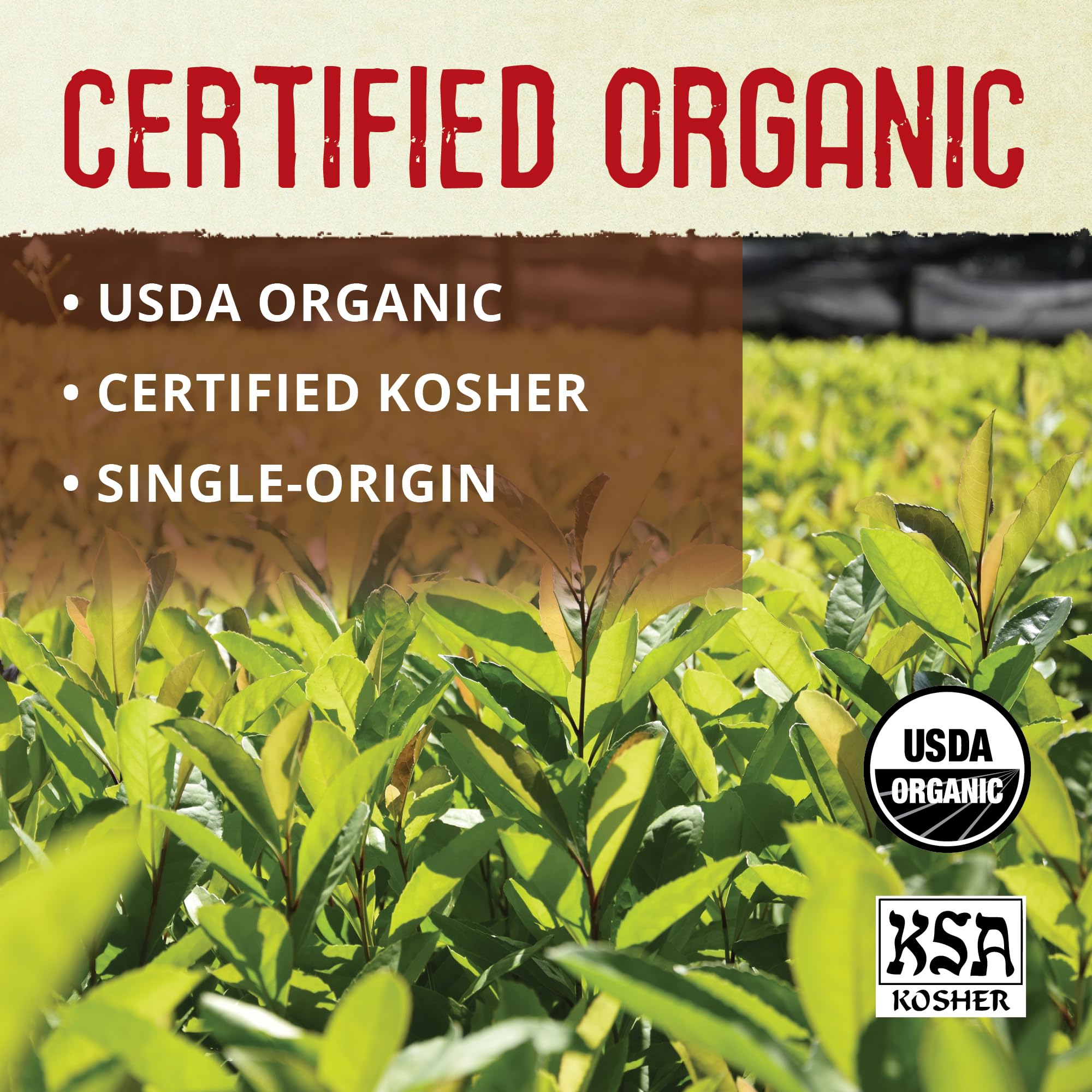 rich-full-bodied-yerba-mate