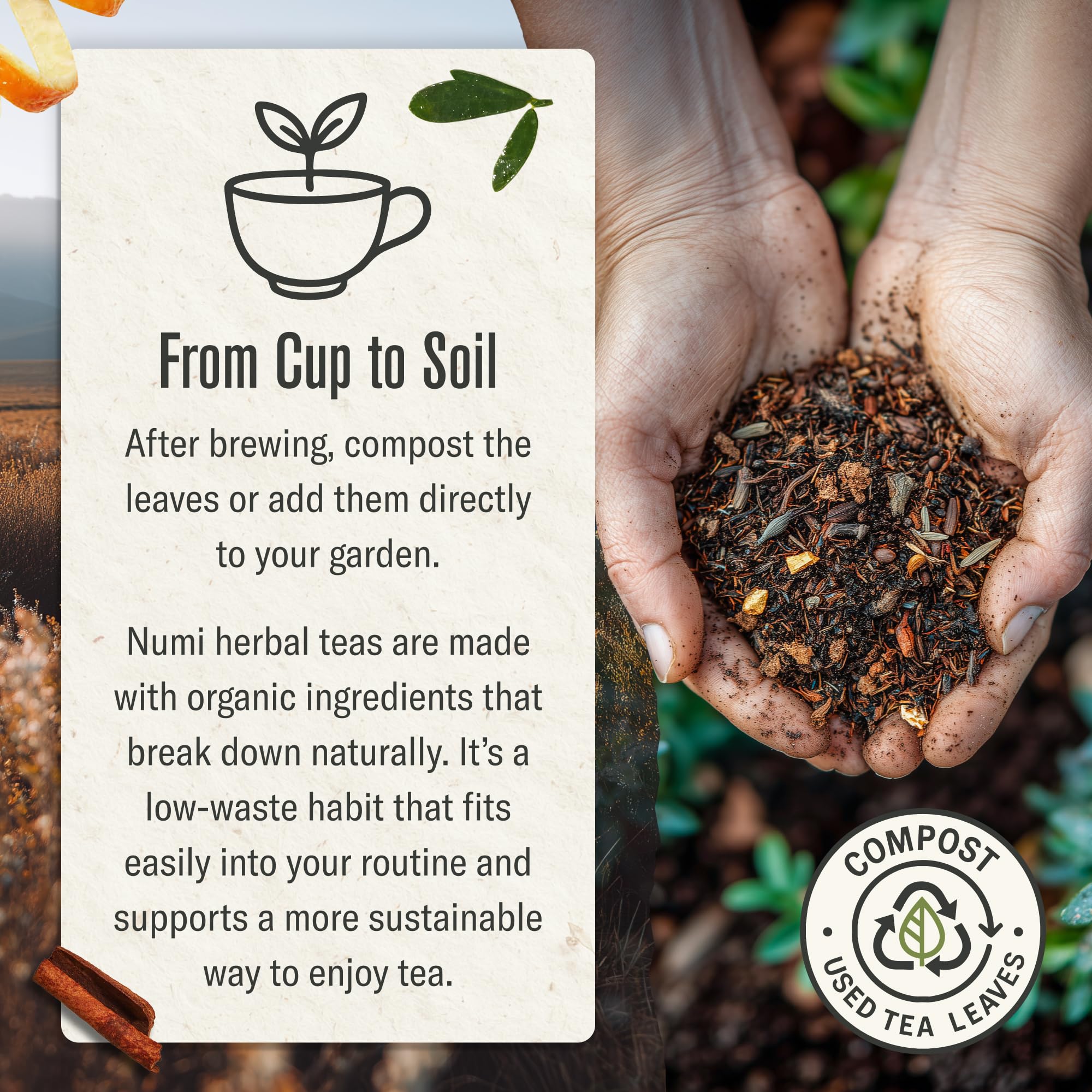 smooth-bold-flavor-chai-tea