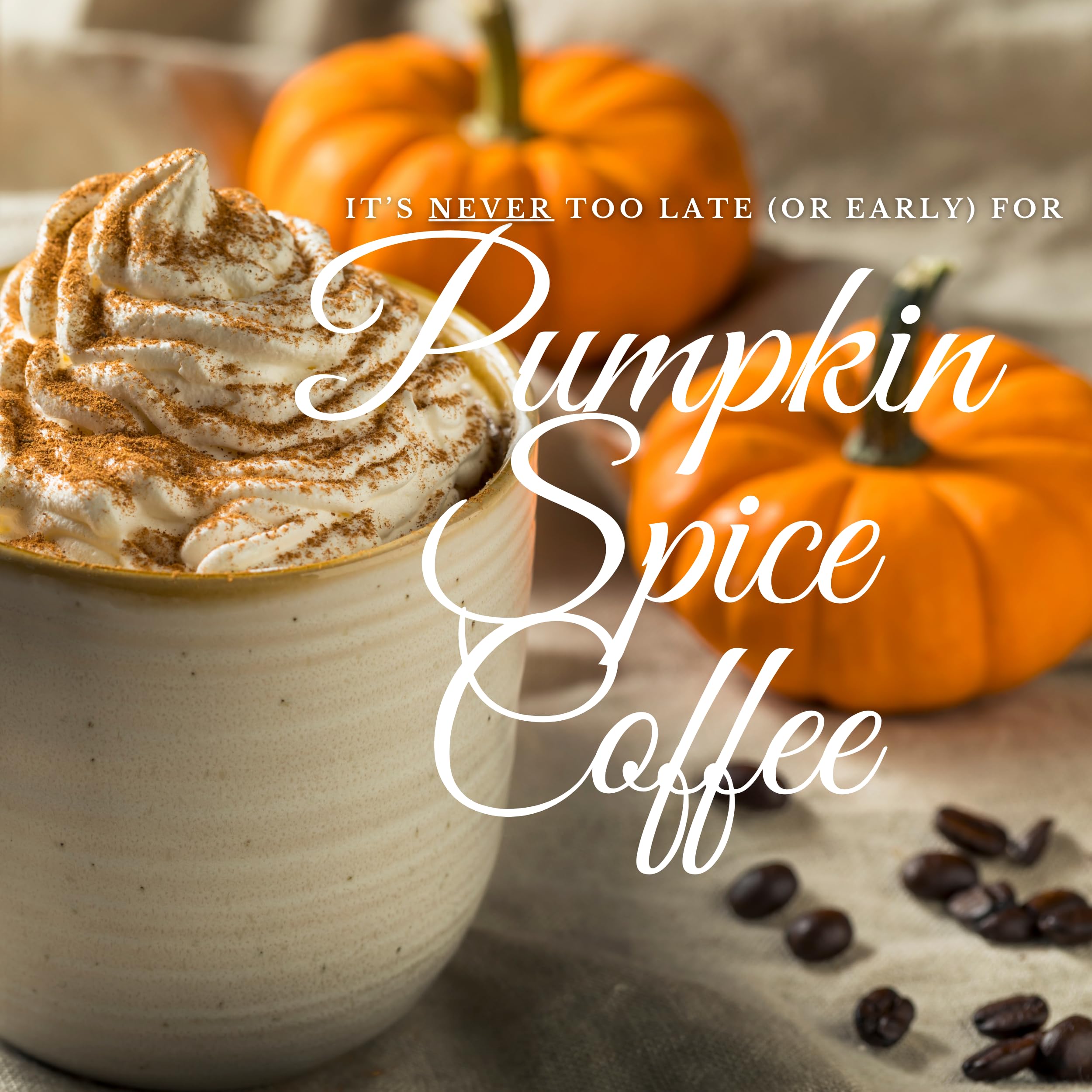 top-rated-ground-coffee-new-england-coffee