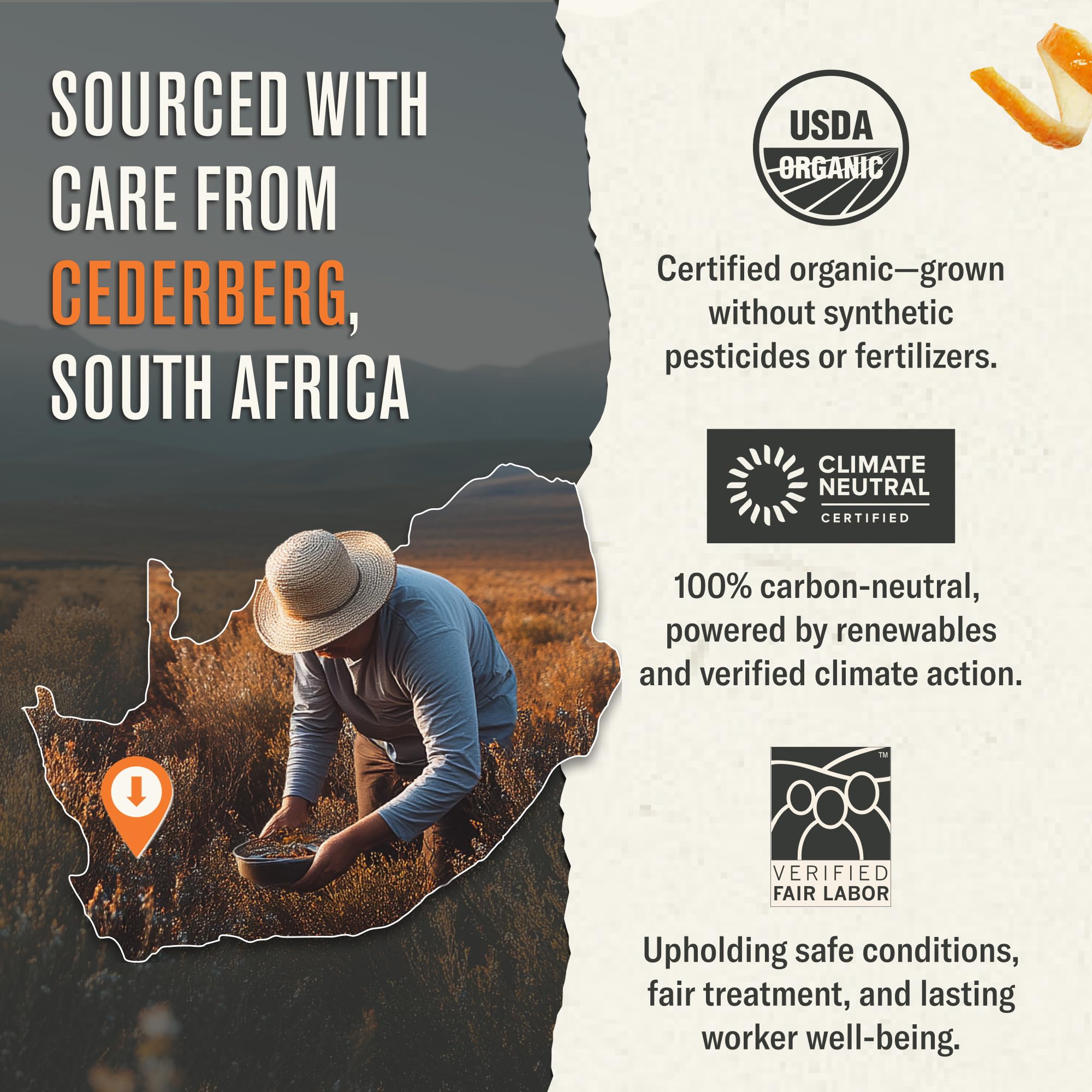 easy-to-brew-rooibos-tea