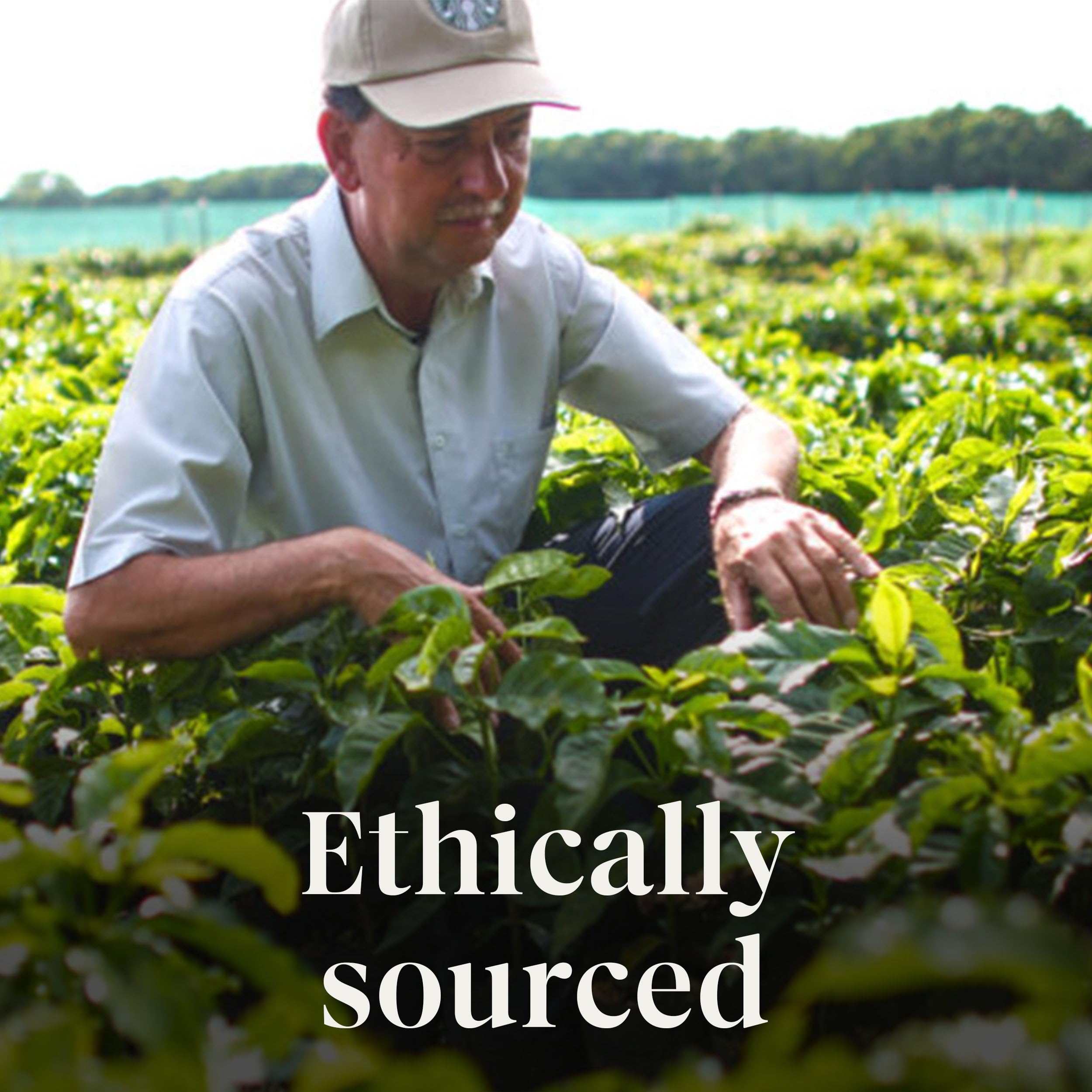 smooth-bold-flavor-coffee-pods-k-cups-etc