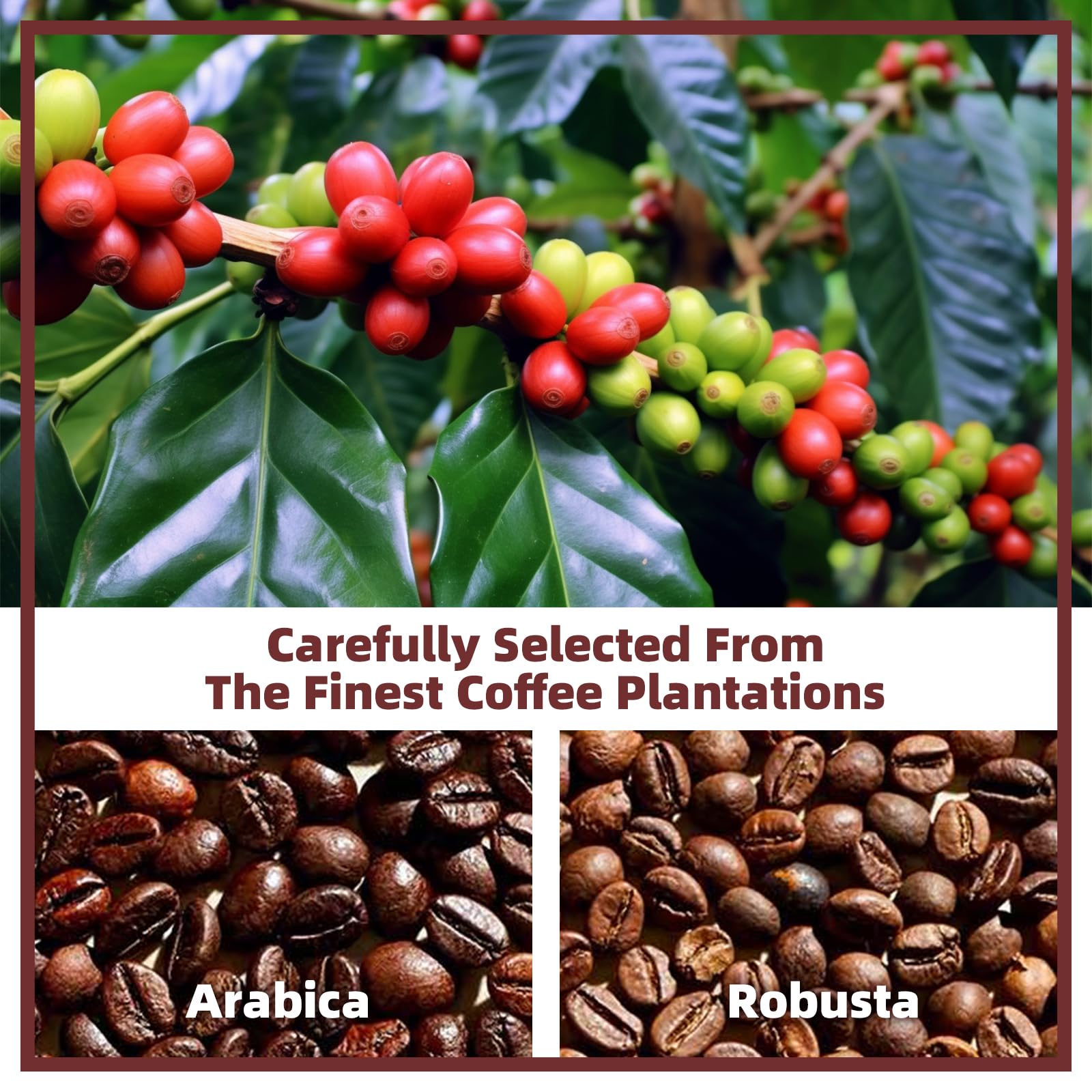 smooth-bold-flavor-mushroom-coffee