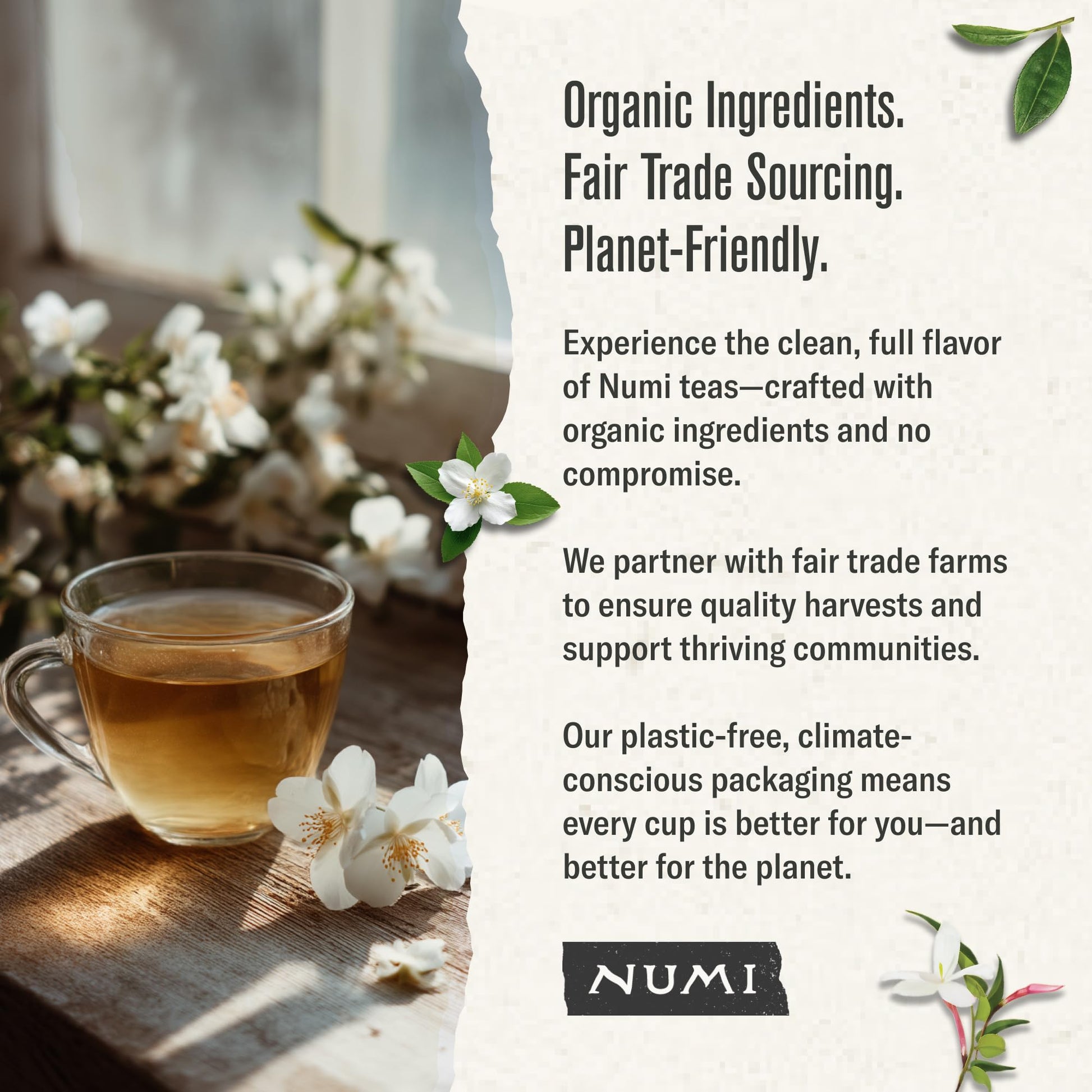 top-rated-matcha-powder-numi