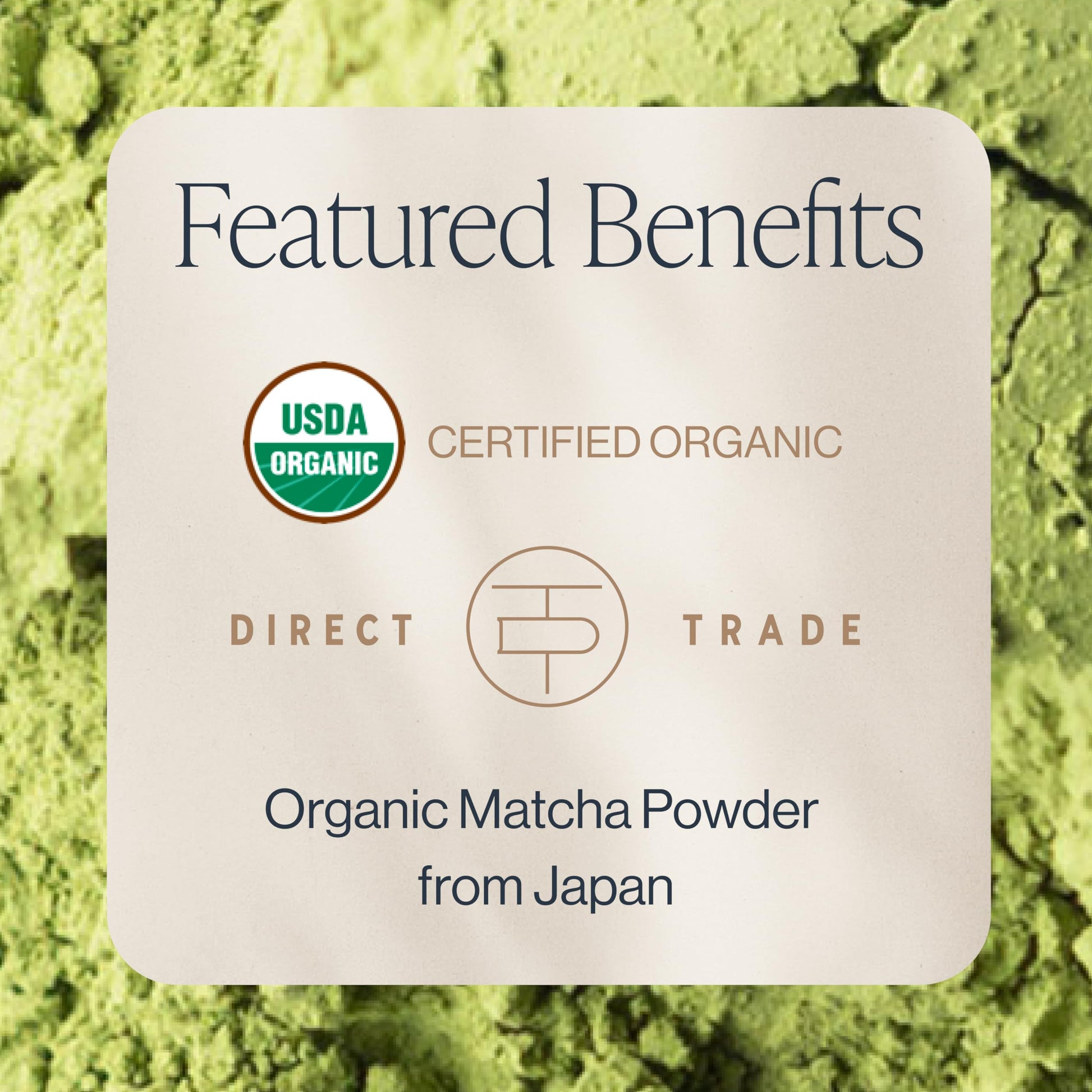 rich-full-bodied-matcha-powder