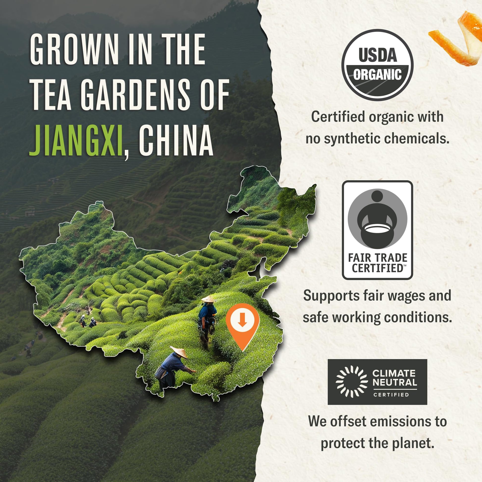 easy-to-brew-matcha-powder