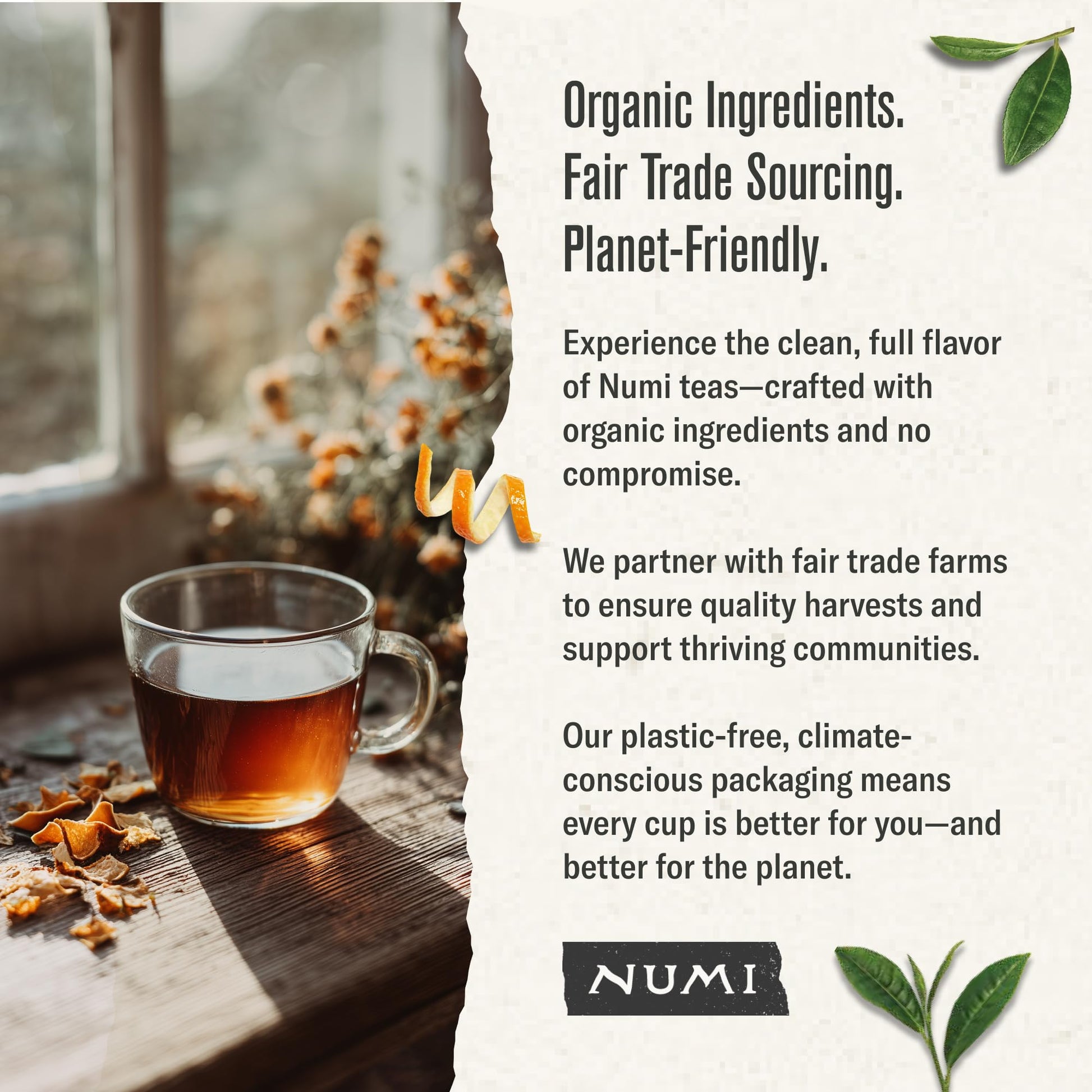 top-rated-chai-tea-numi