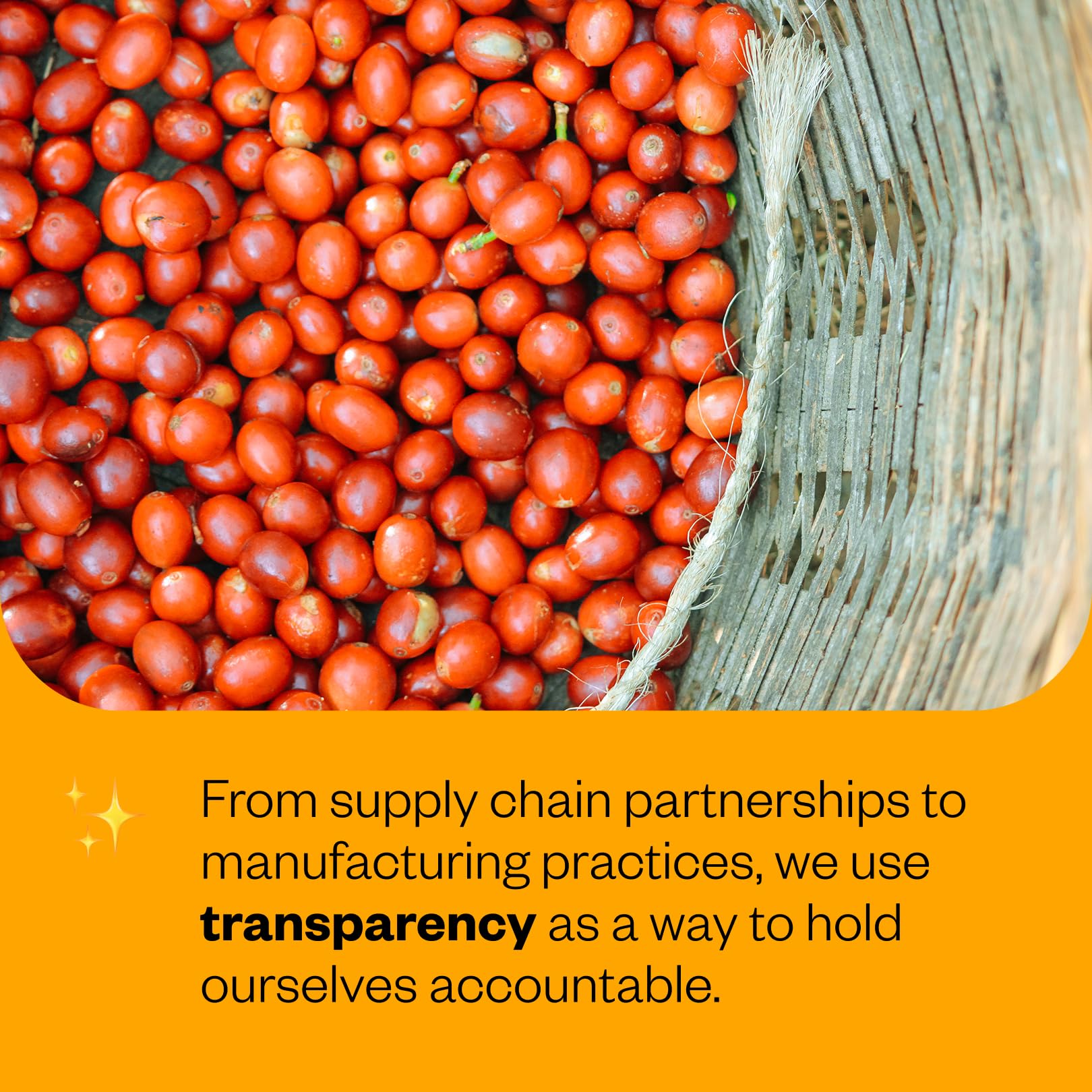 rich-full-bodied-whole-beans