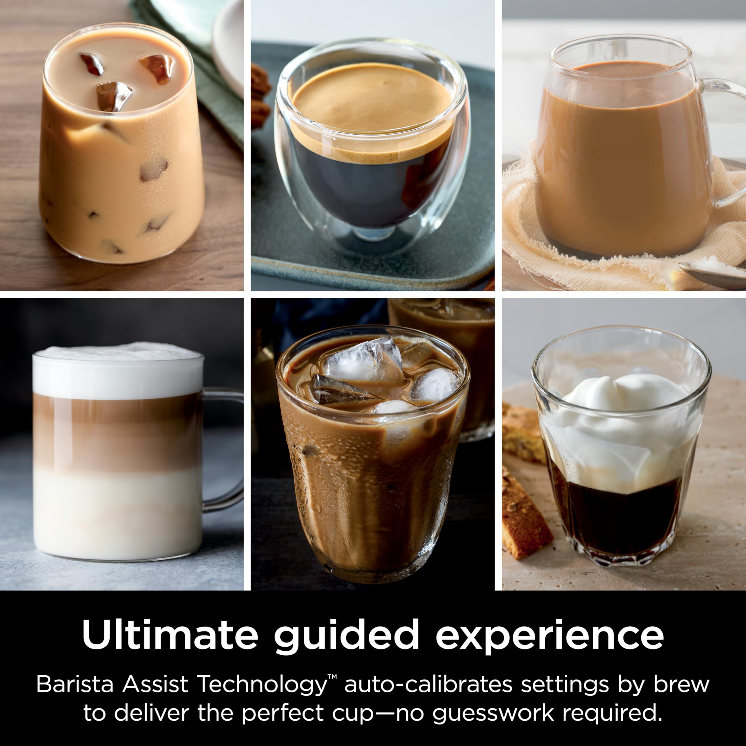 buy-online-cold-brew-coffee-ninja