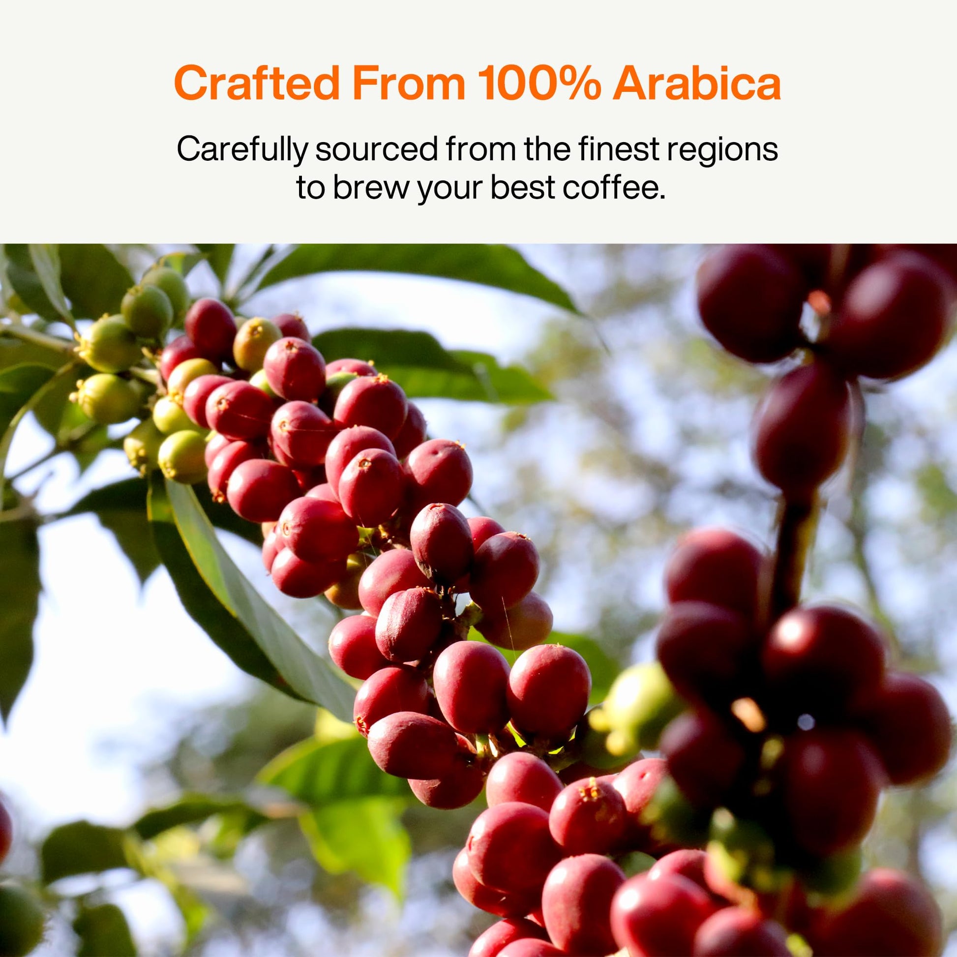 smooth-bold-flavor-coffee-capsules-nespresso-style