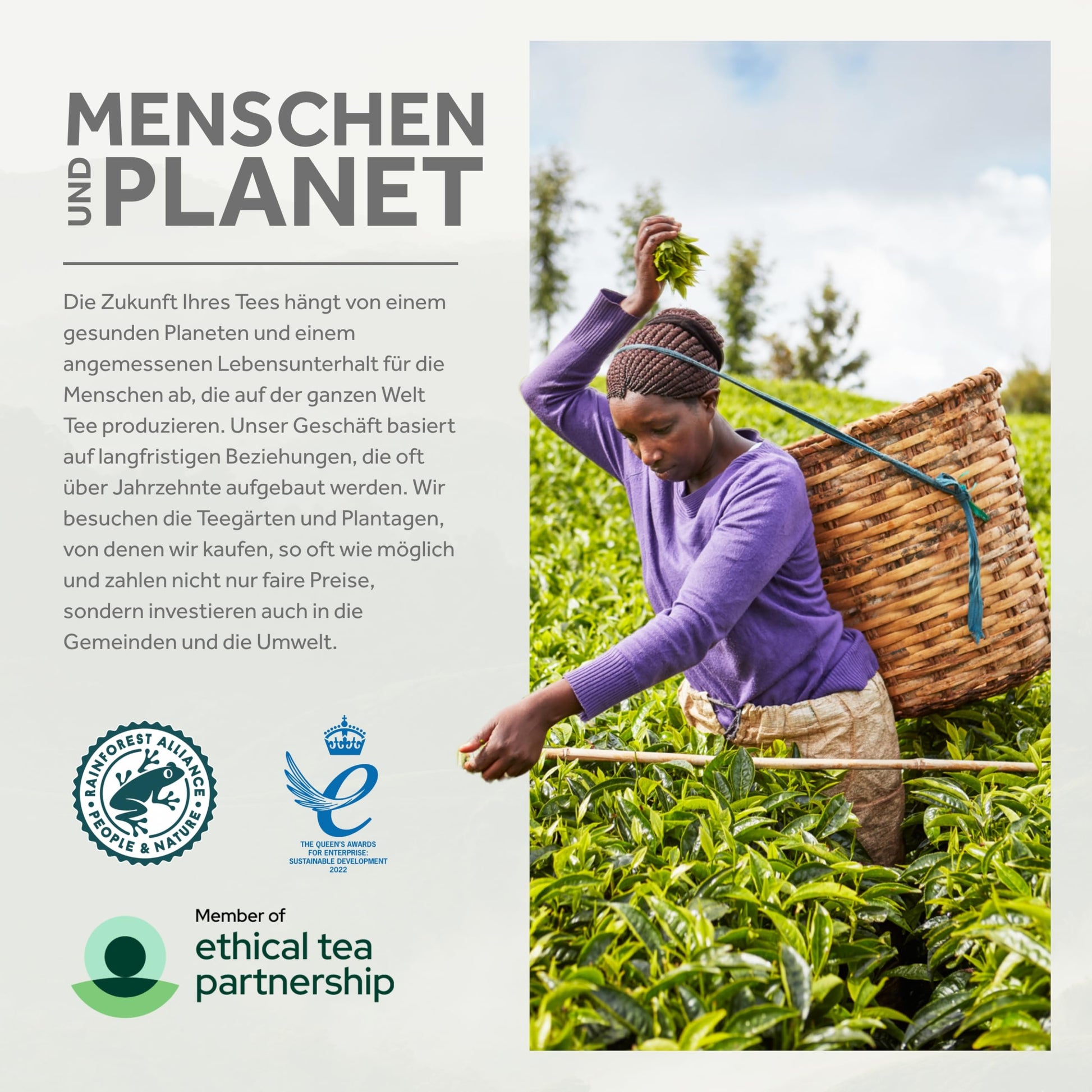 smooth-bold-flavor-black-tea