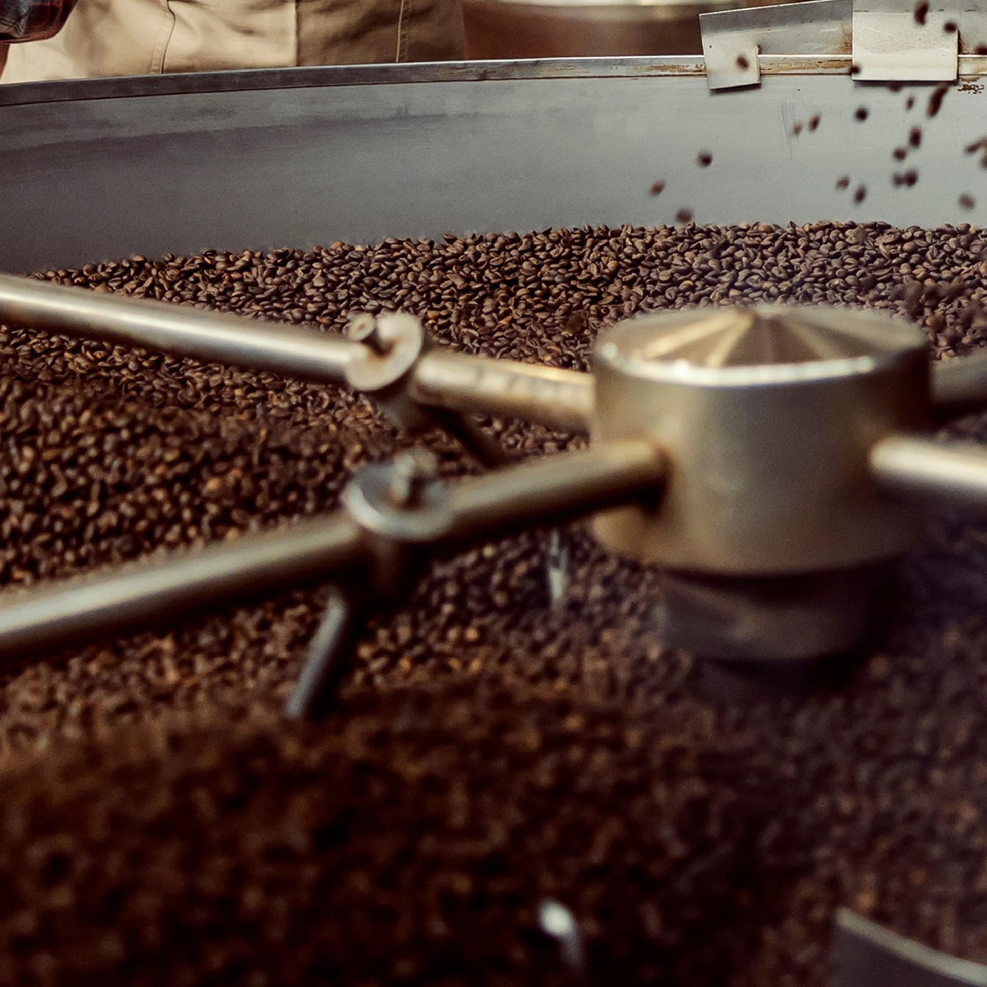 top-rated-whole-beans-coffee-bean-direct