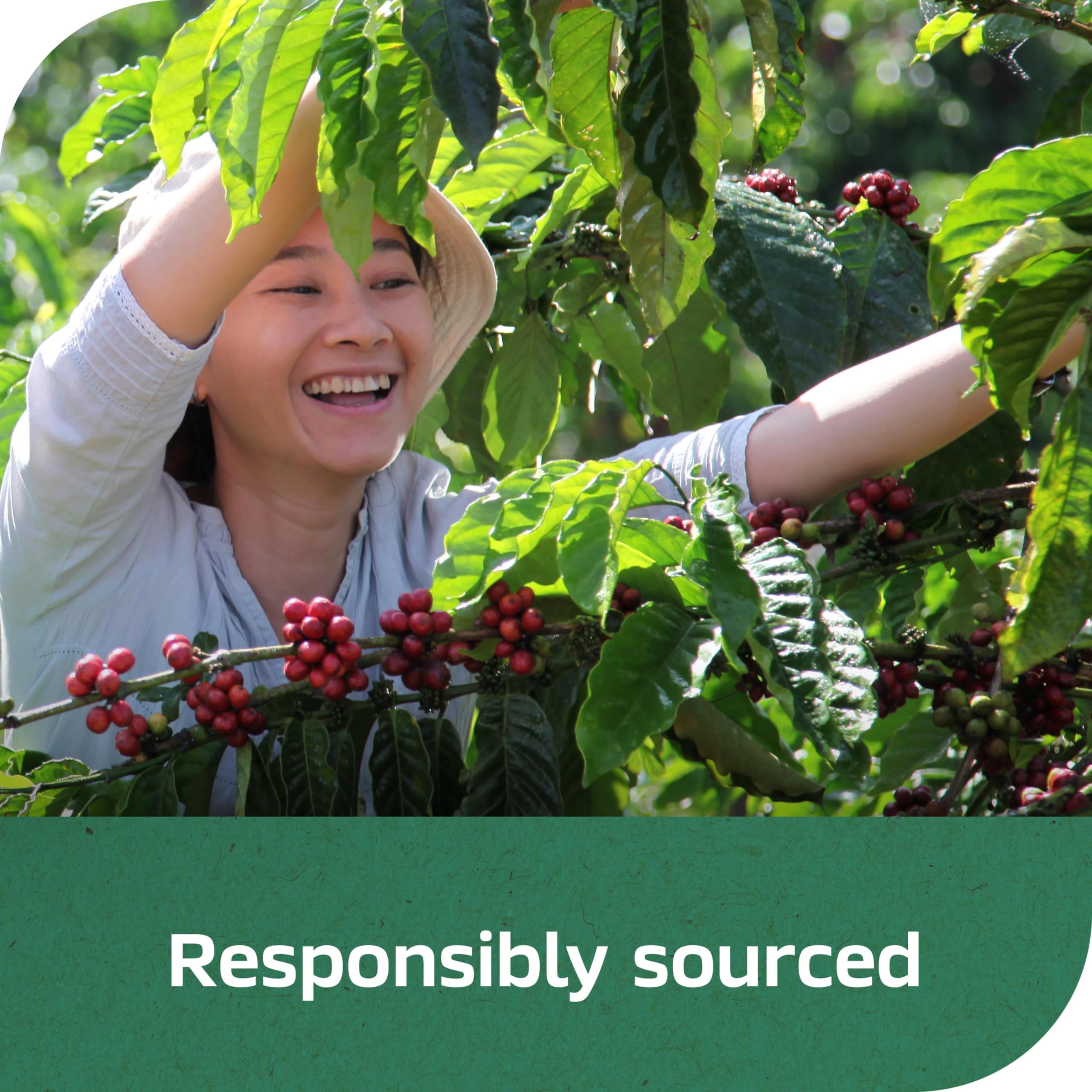 smooth-bold-flavor-decaf-coffee