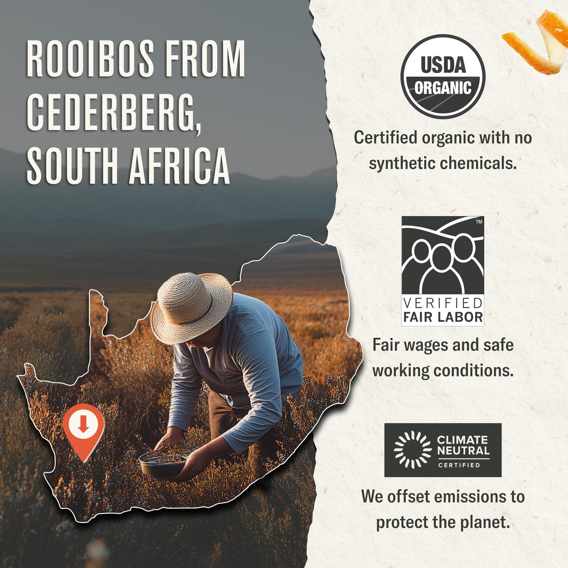 easy-to-brew-chai-tea