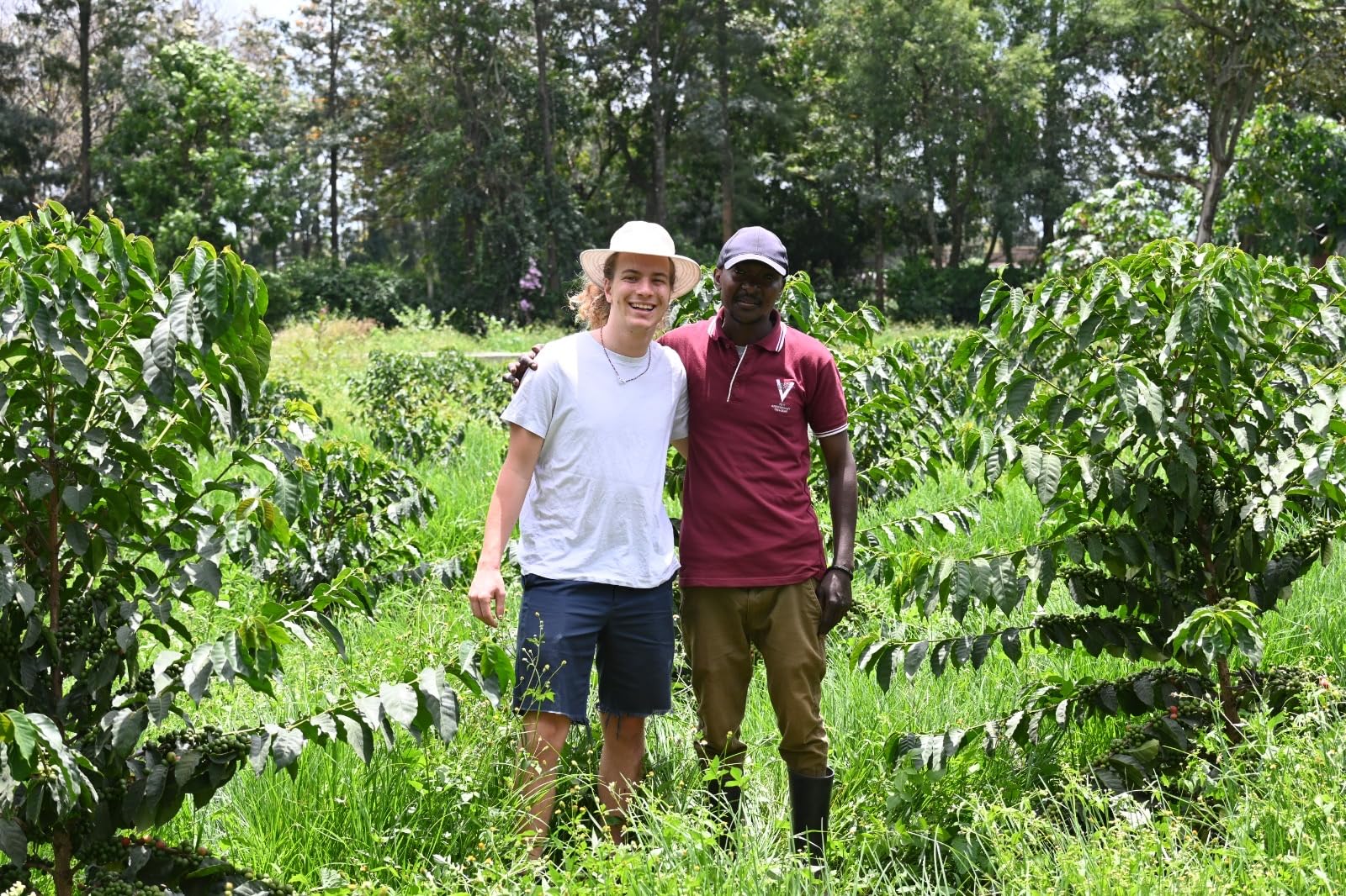 affordable-instant-coffee