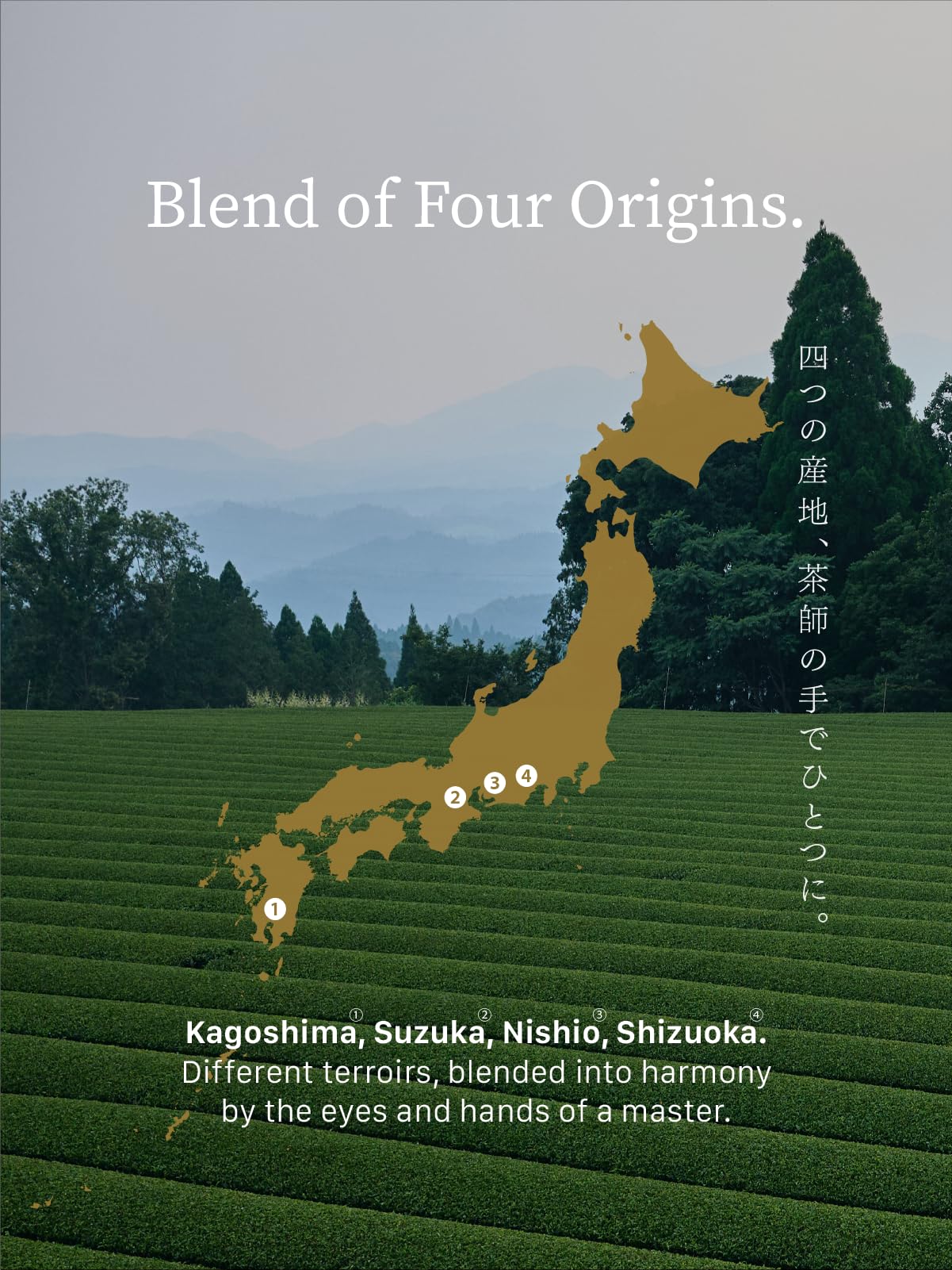 affordable-matcha-powder