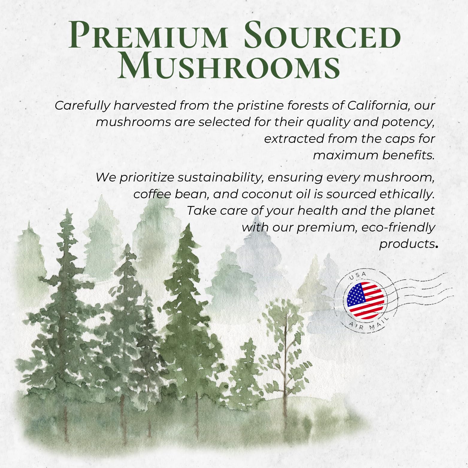 easy-to-brew-mushroom-coffee