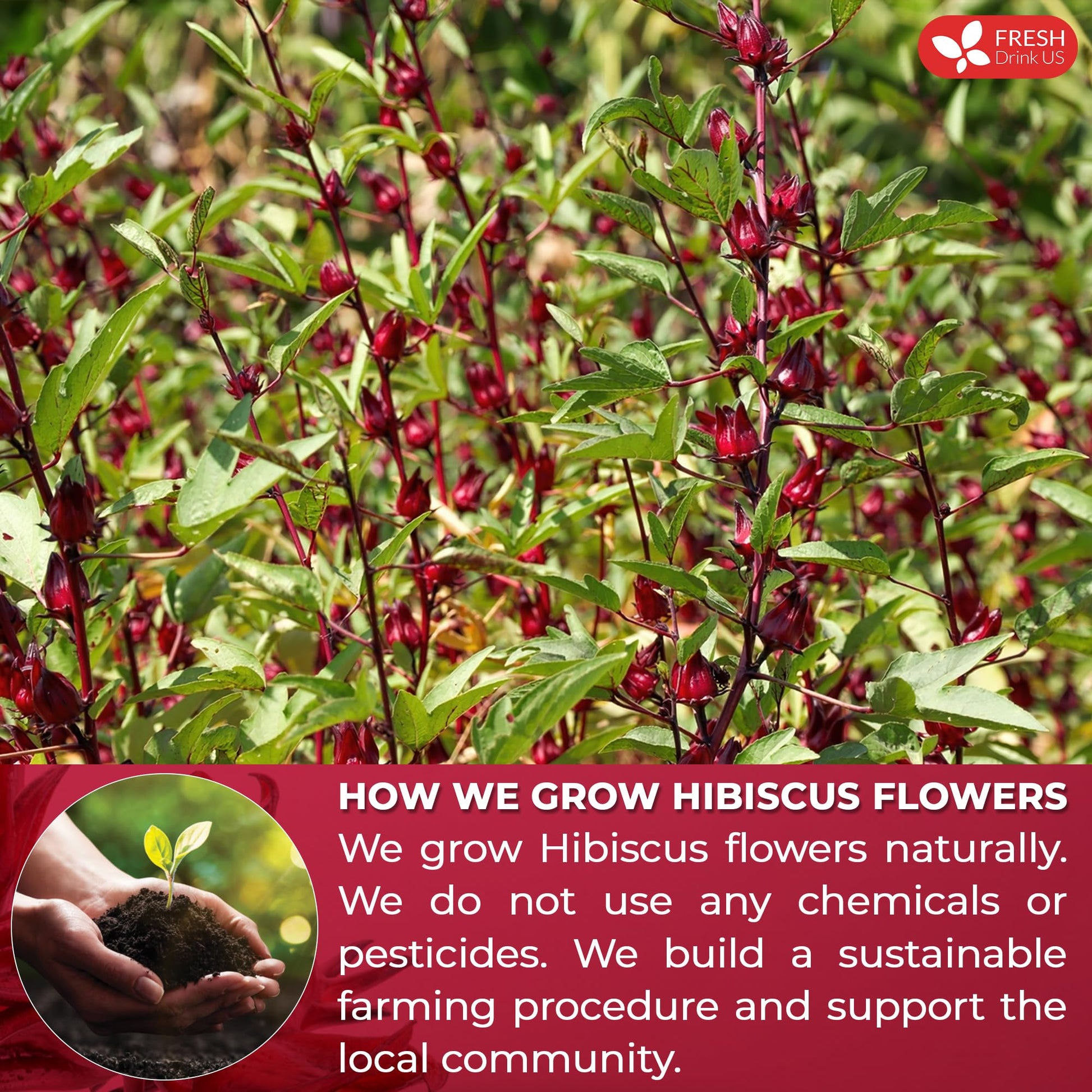 rich-full-bodied-instant-tea