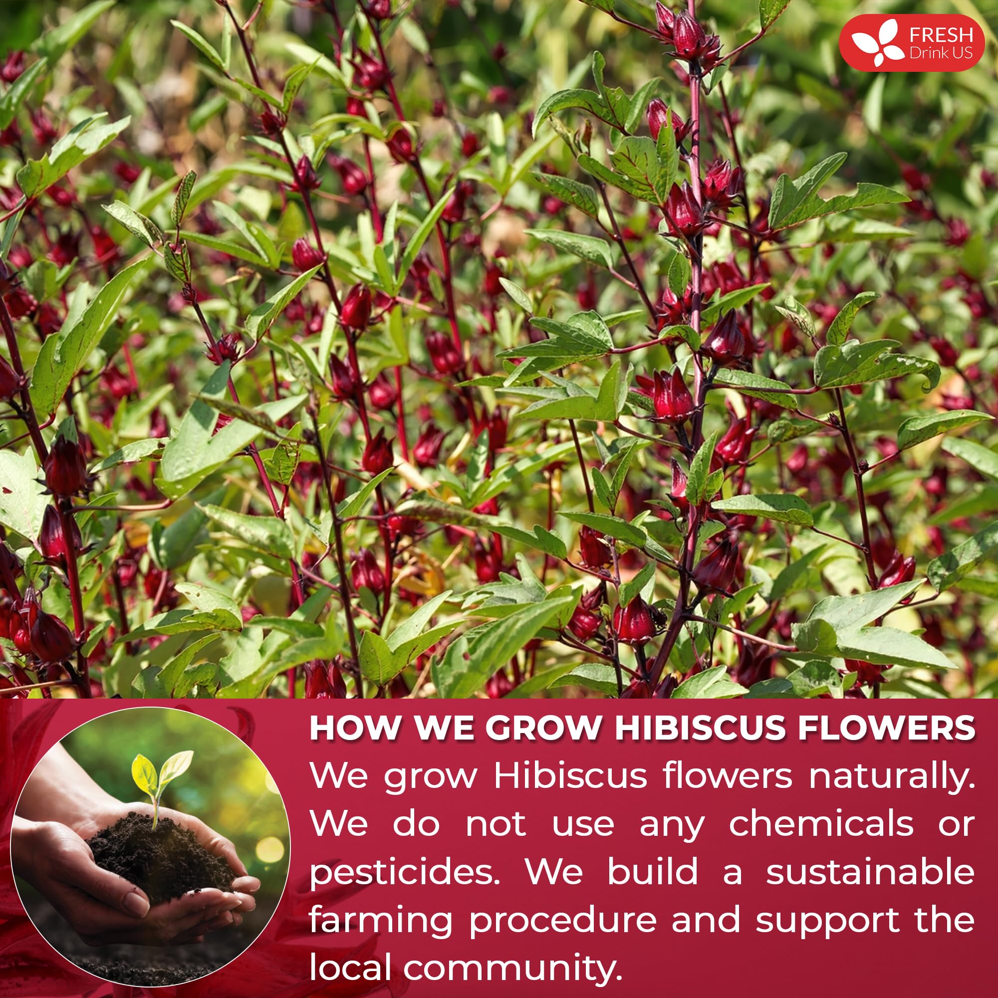 rich-full-bodied-instant-tea