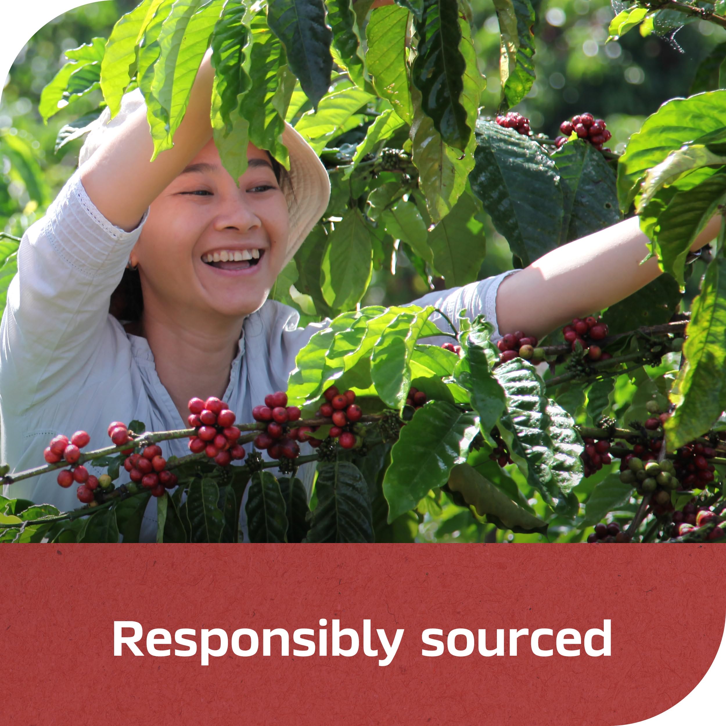 affordable-instant-coffee