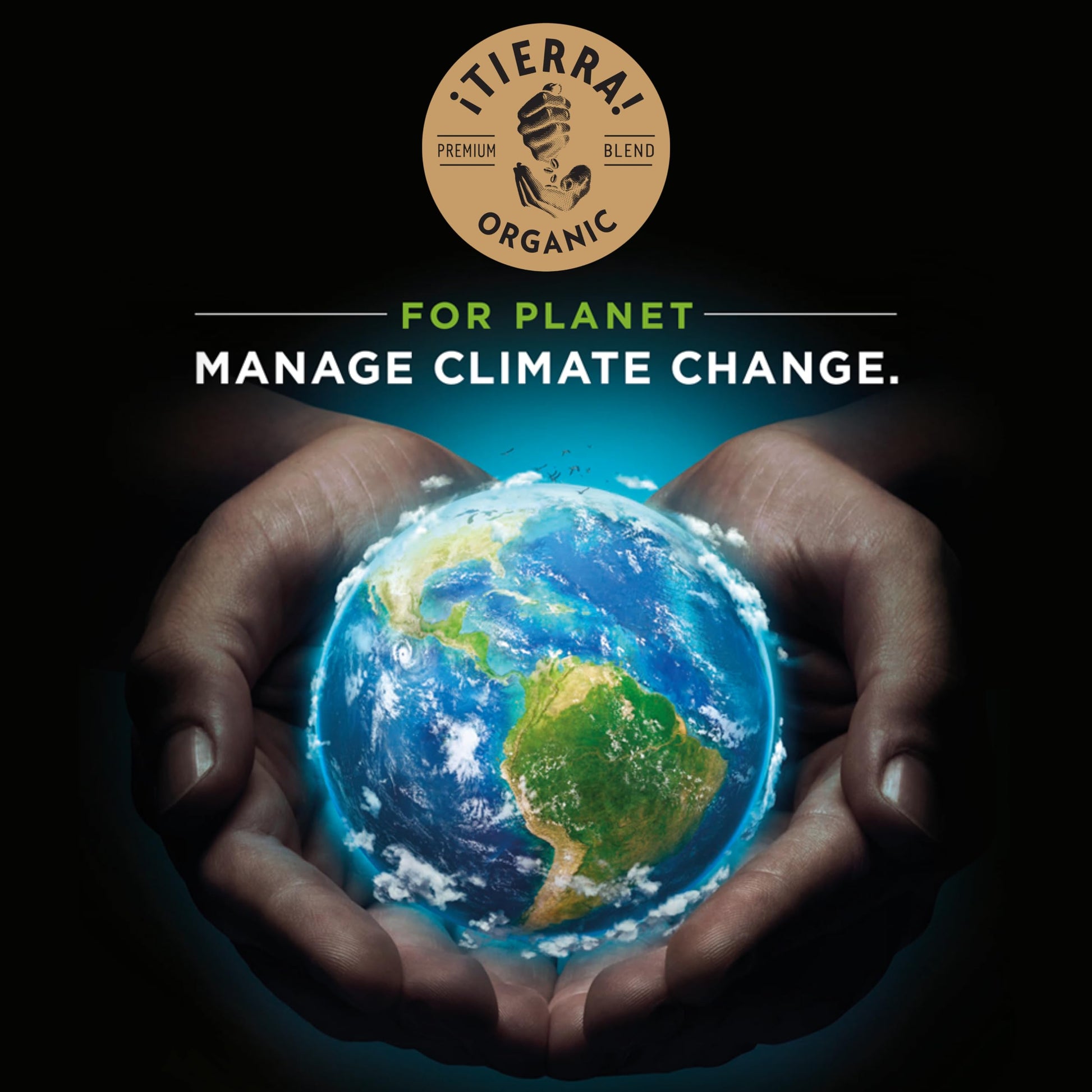 top-rated-whole-beans-lavazza